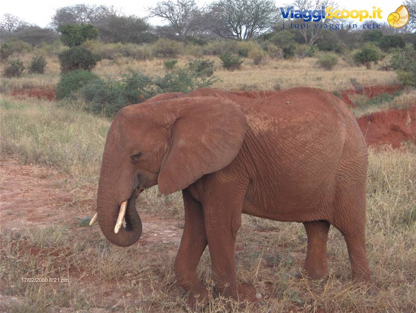 Foto di viaggio in KENYA