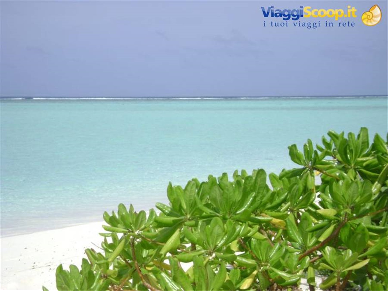 Maldive..un angolo di paradiso