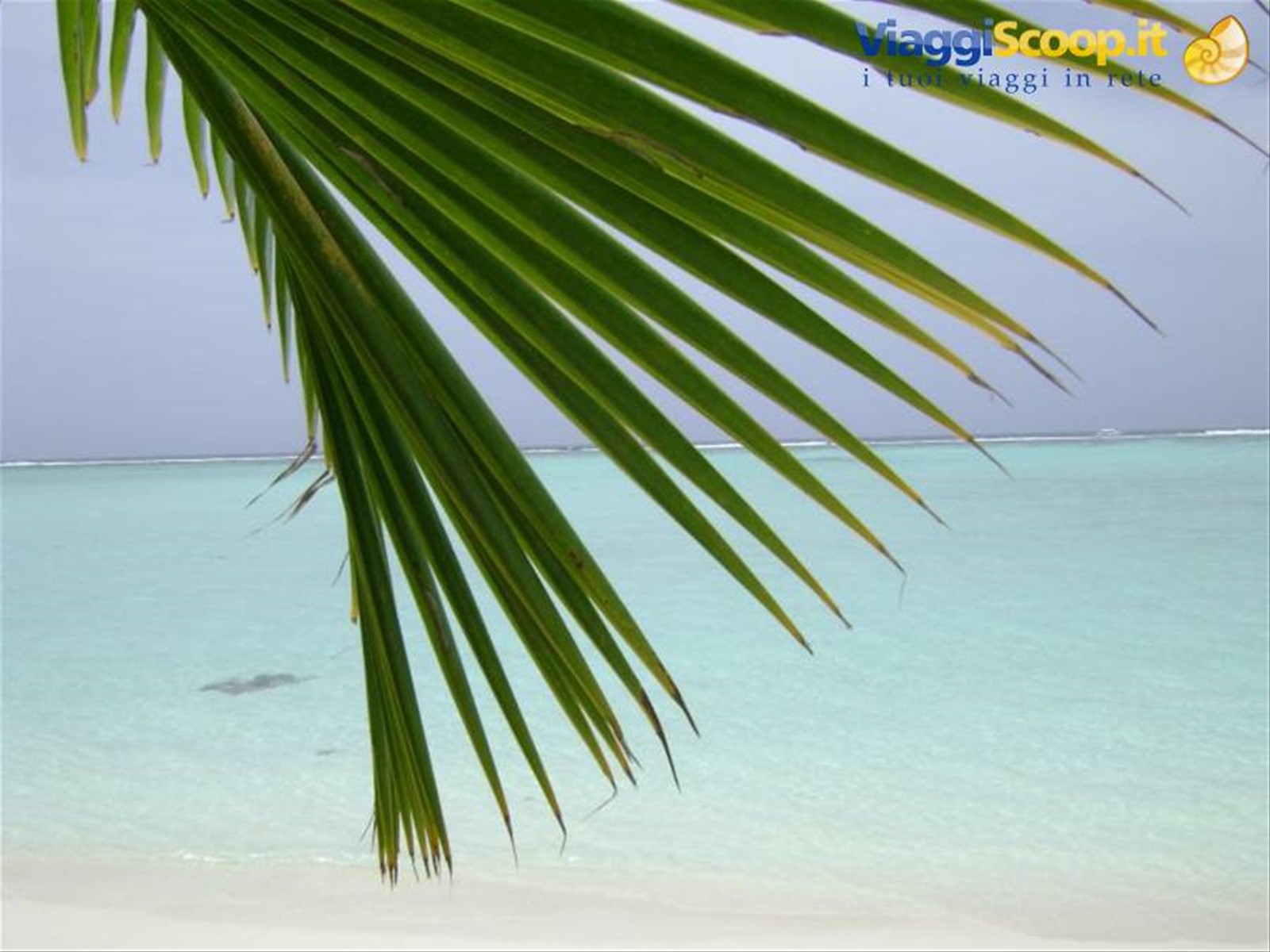 Foto di viaggio in MALDIVE
