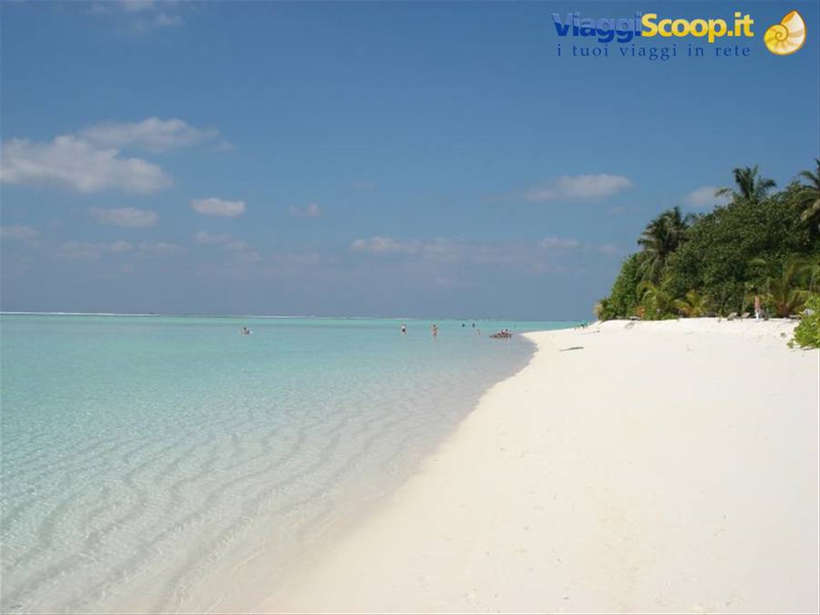 Foto di viaggio in MALDIVE