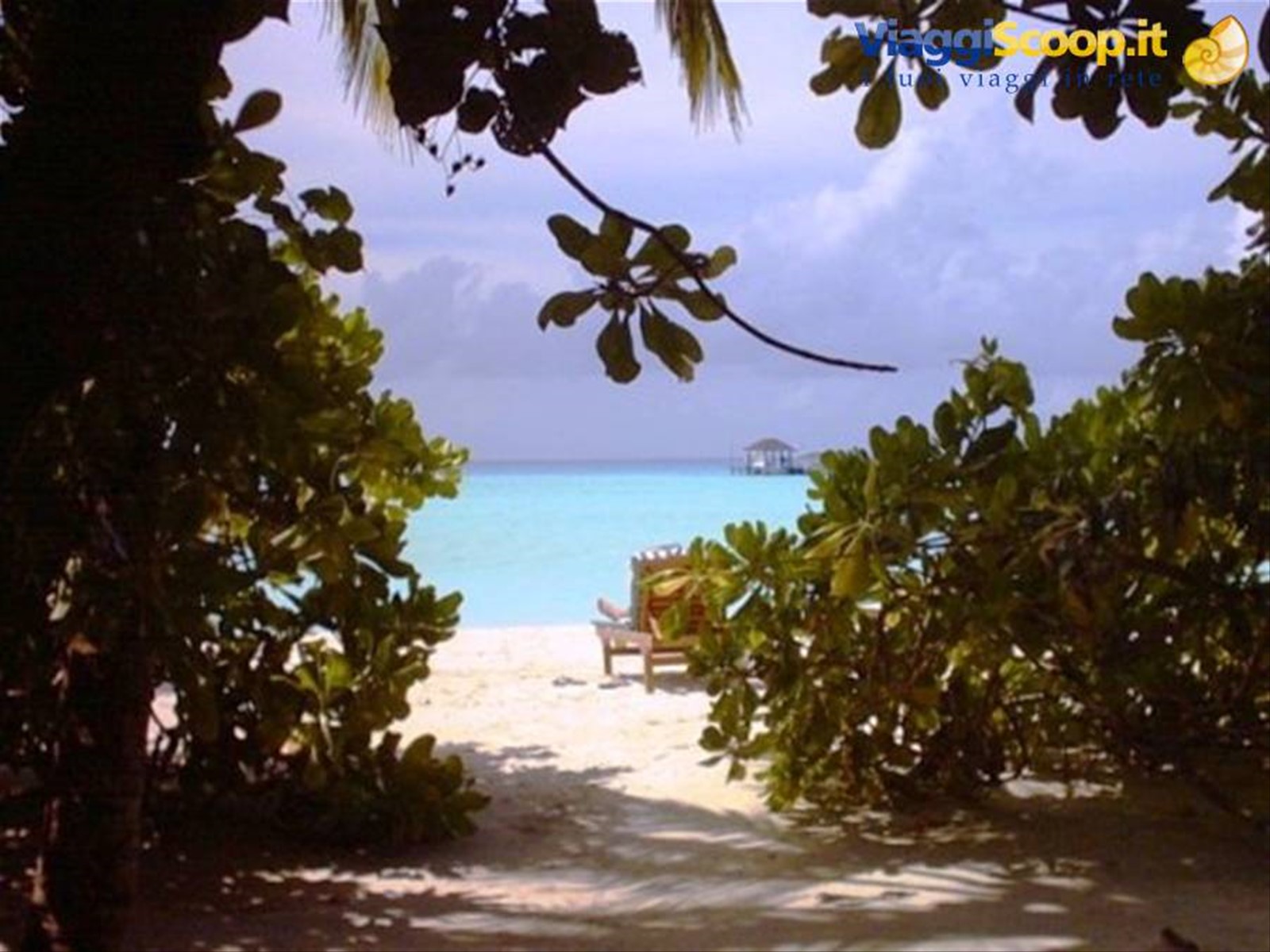 Foto di viaggio in MALDIVE