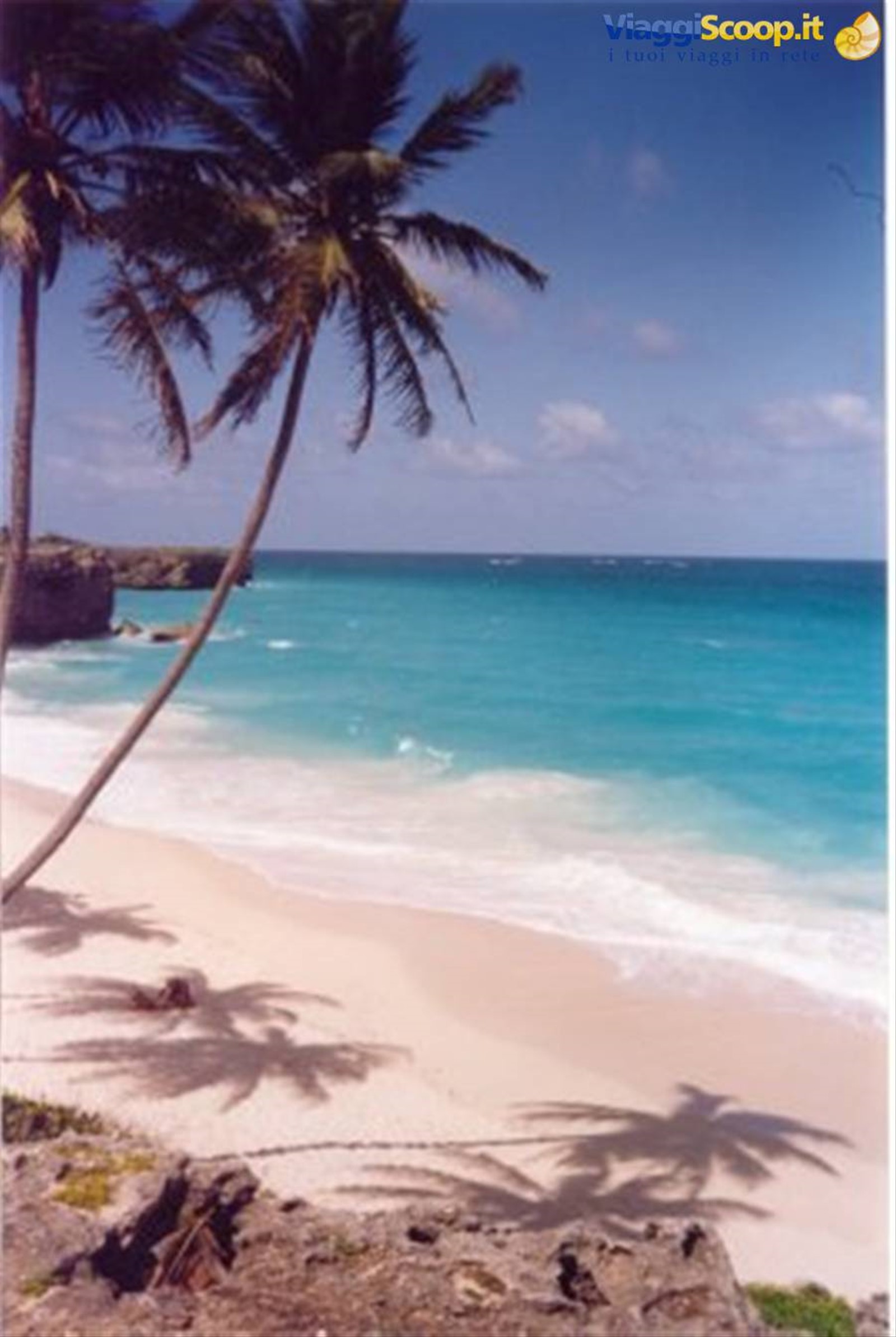 Foto di viaggio in BARBADOS