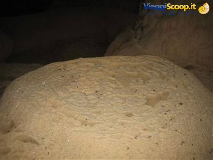 Tour del nord - Parco dell'Ankarana, grotta dei pipistrelli -