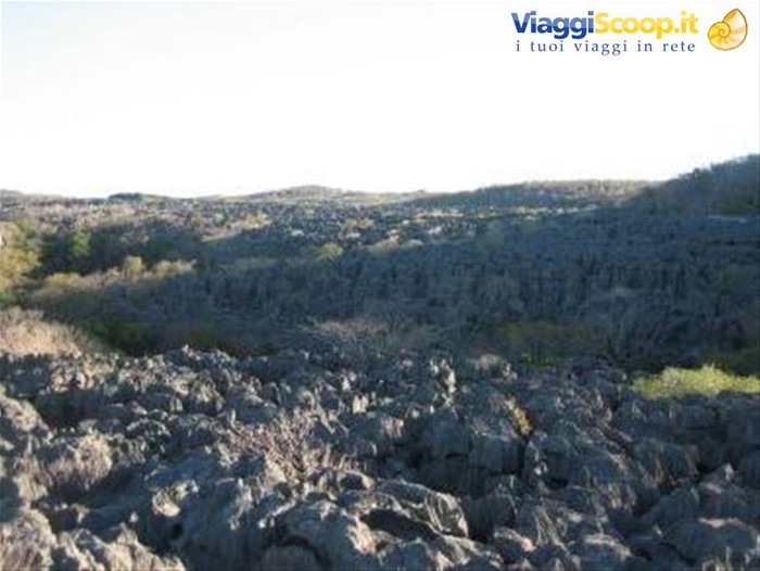 Tour del nord - Parco dell'Ankarana, grandi Tsingy -