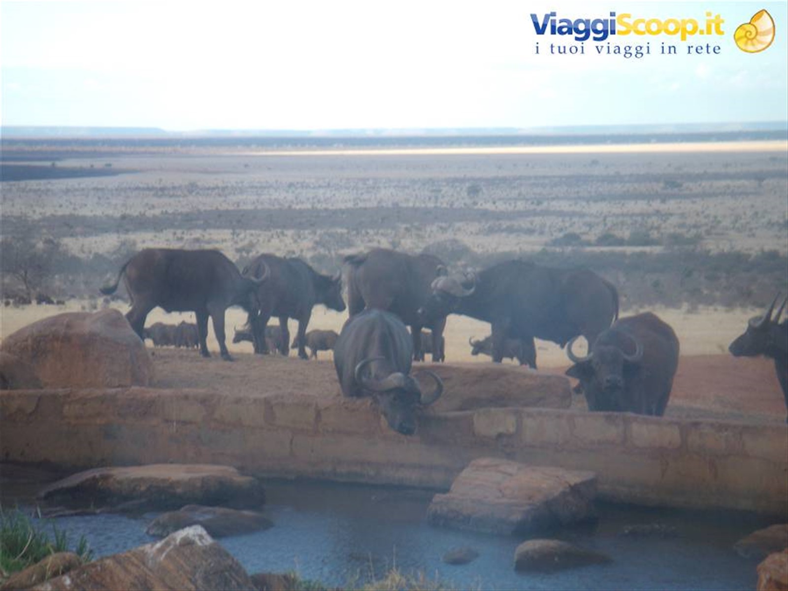 Foto di viaggio in KENYA