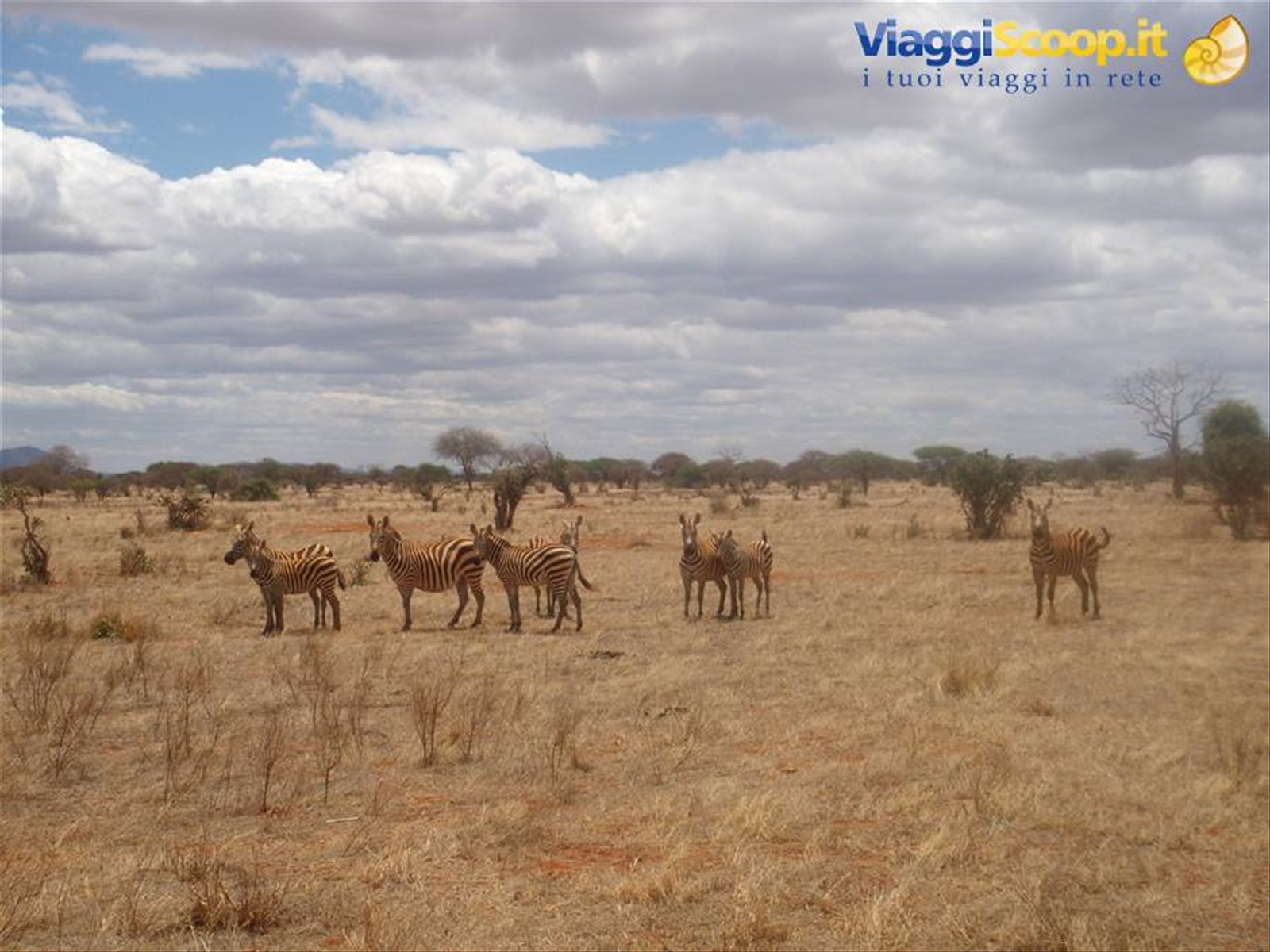 Foto di viaggio in KENYA