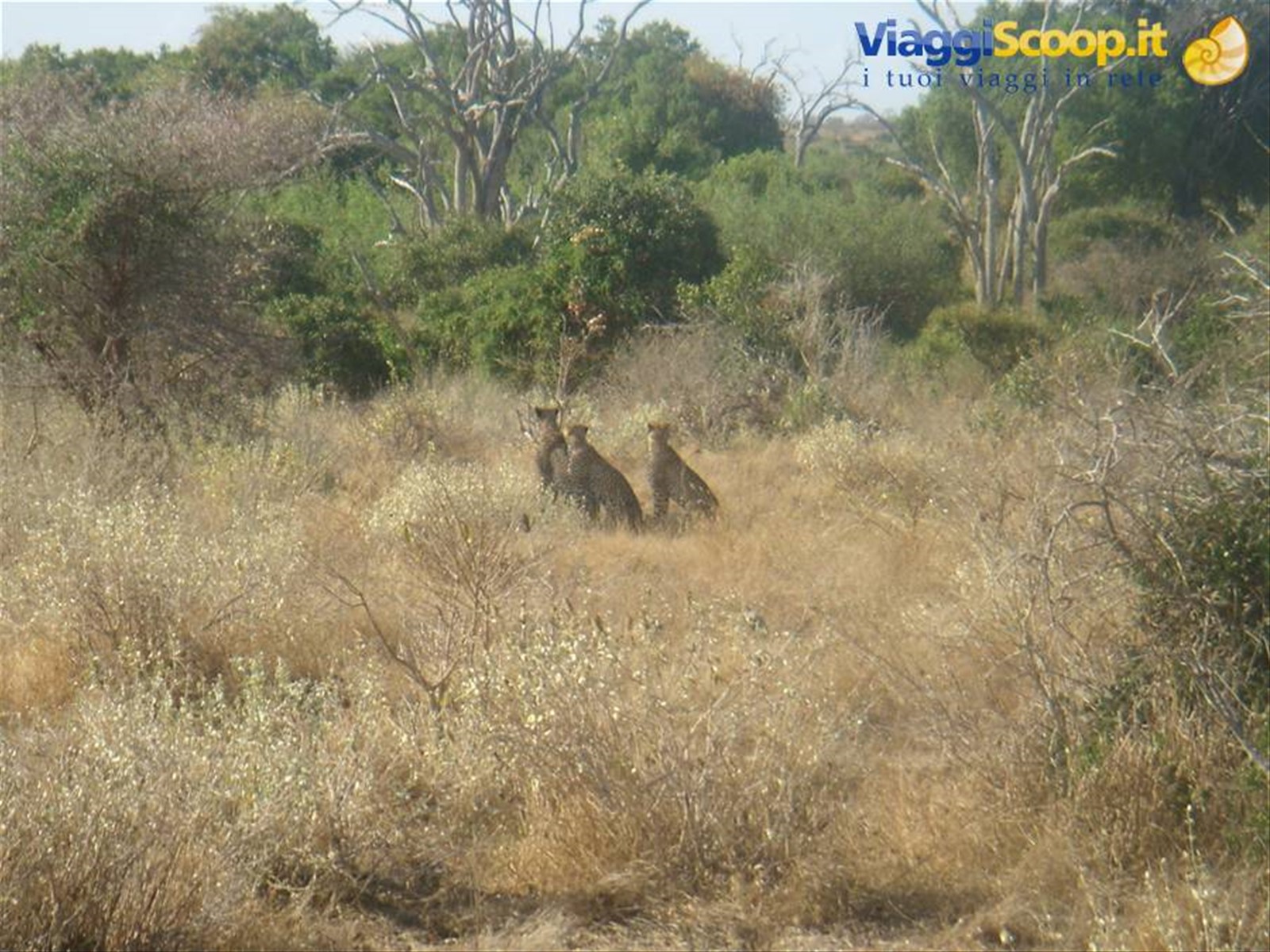 Foto di viaggio in KENYA
