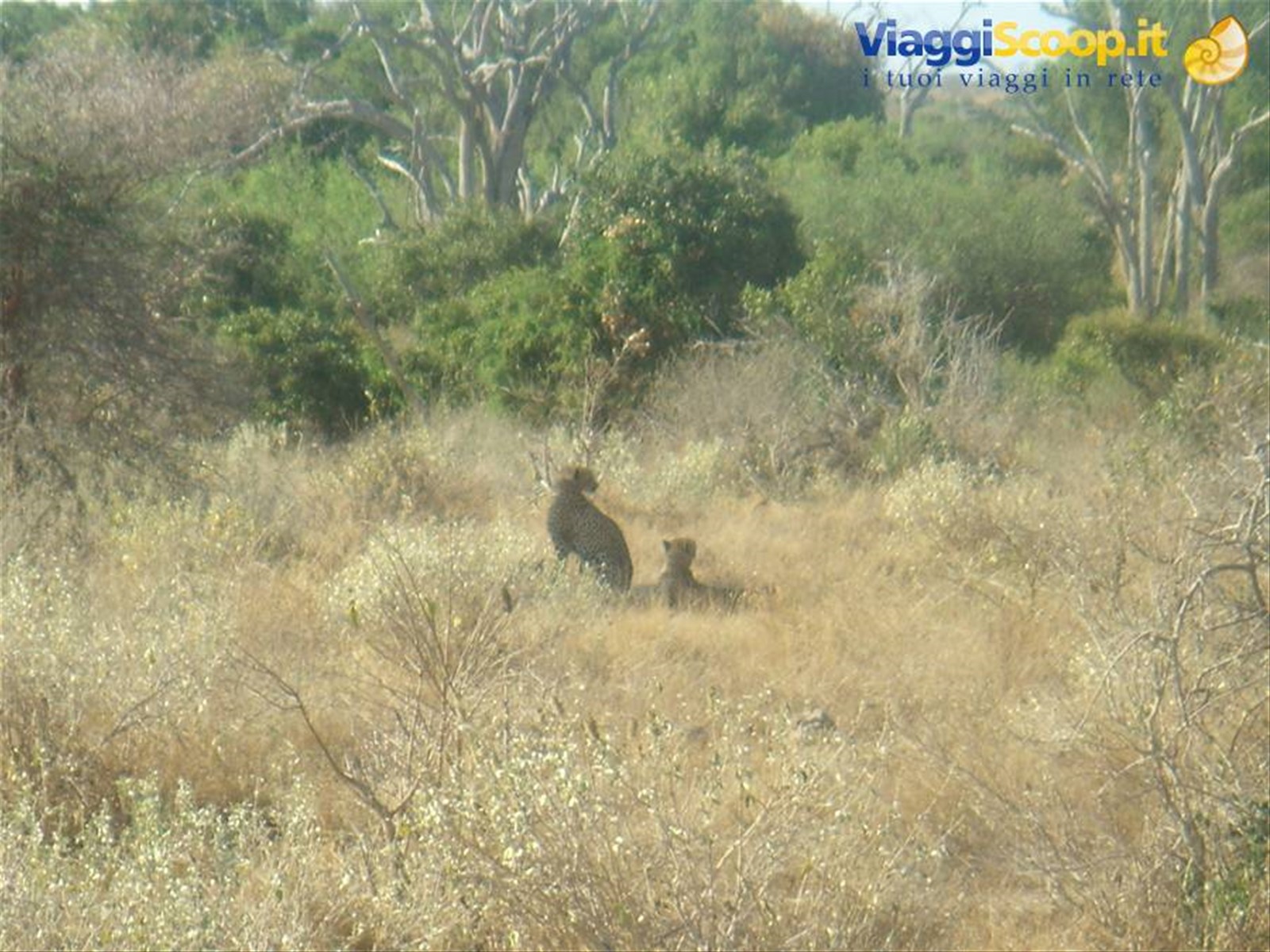 Foto di viaggio in KENYA
