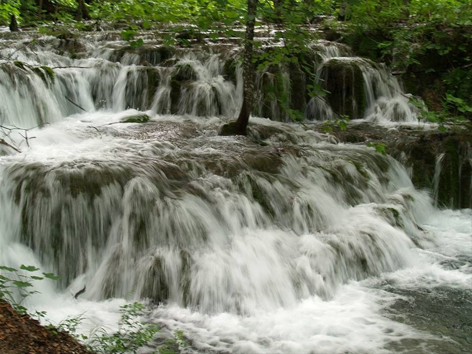 Laghi di Plitvice