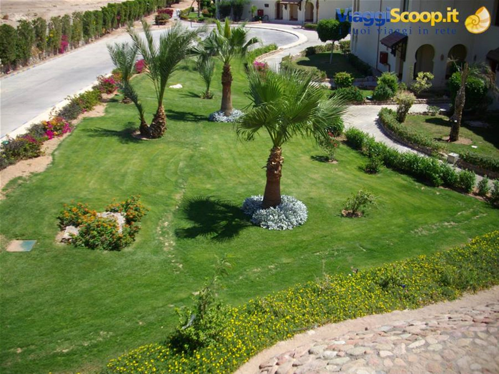 Giardino