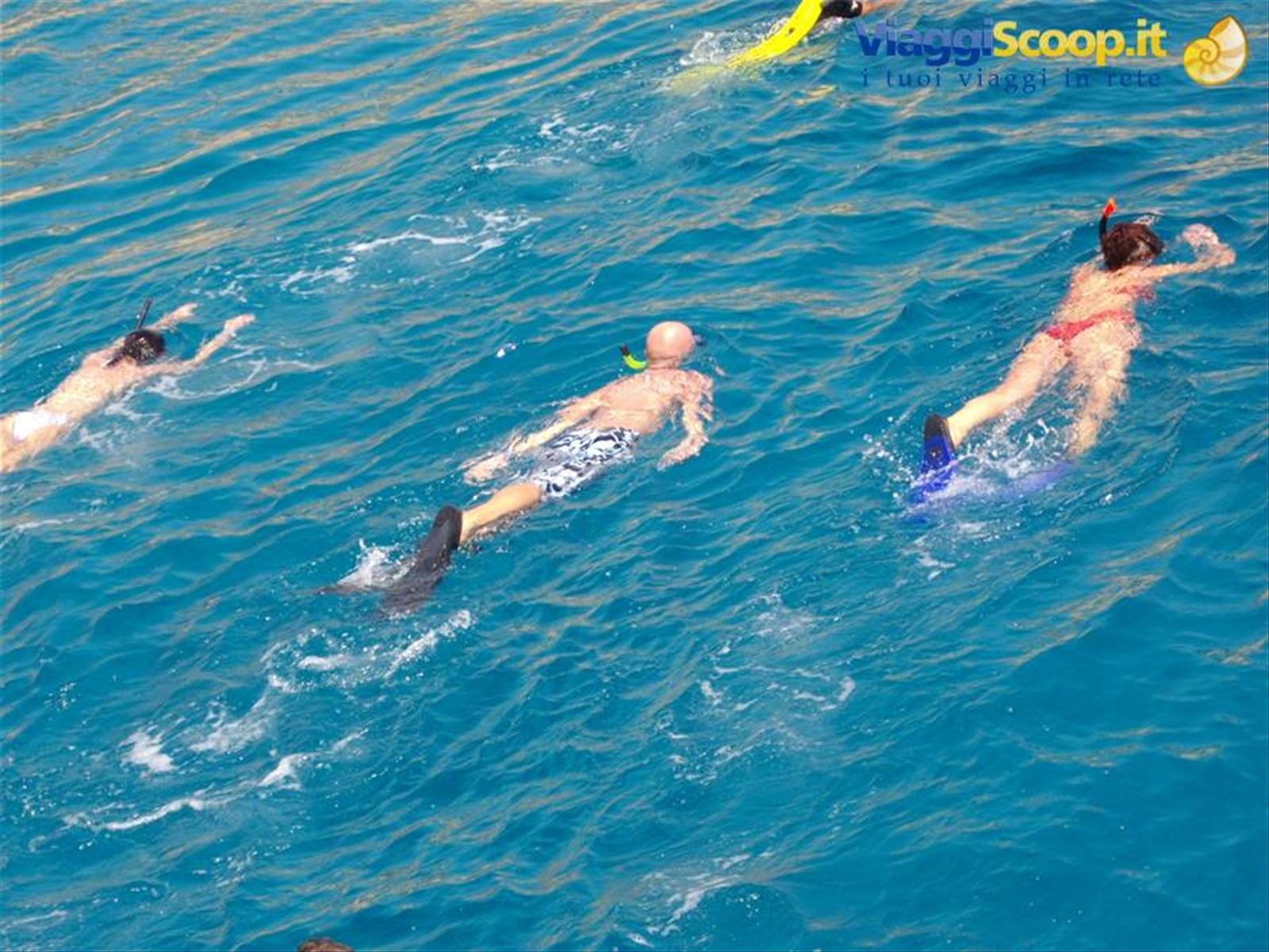 Ras Mohamed Snorkeling