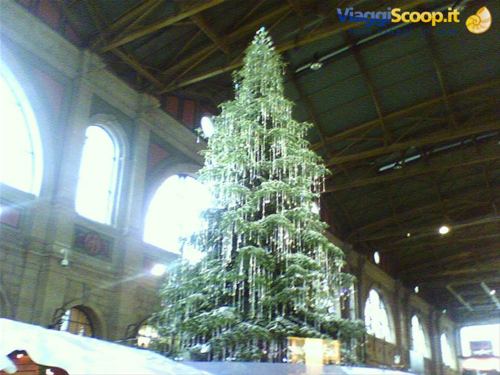 albero di Natale all'interno del mercatino