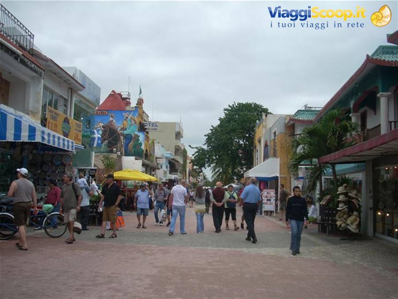 playa del carmen quinta avenida