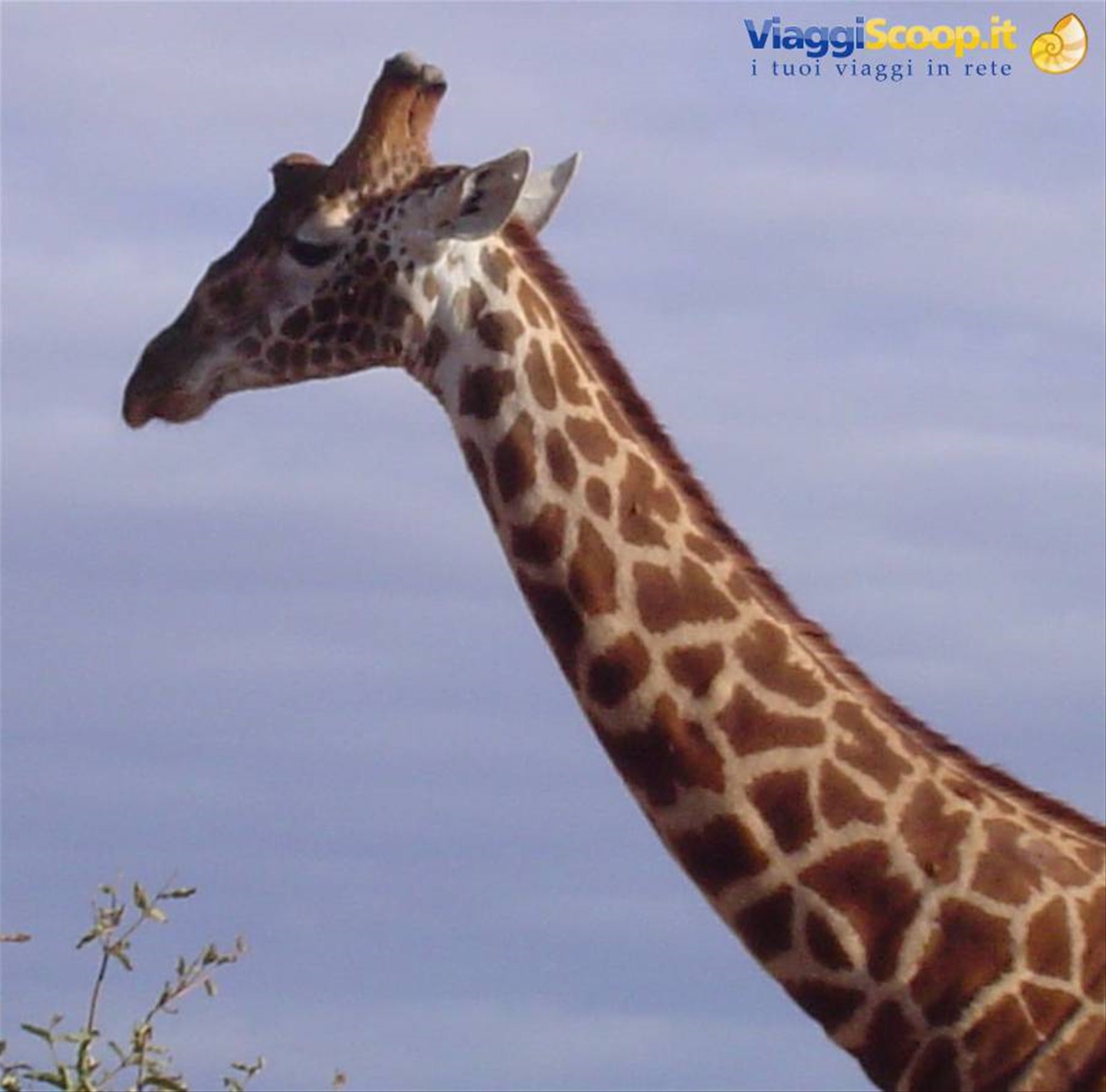 Foto di viaggio in KENYA