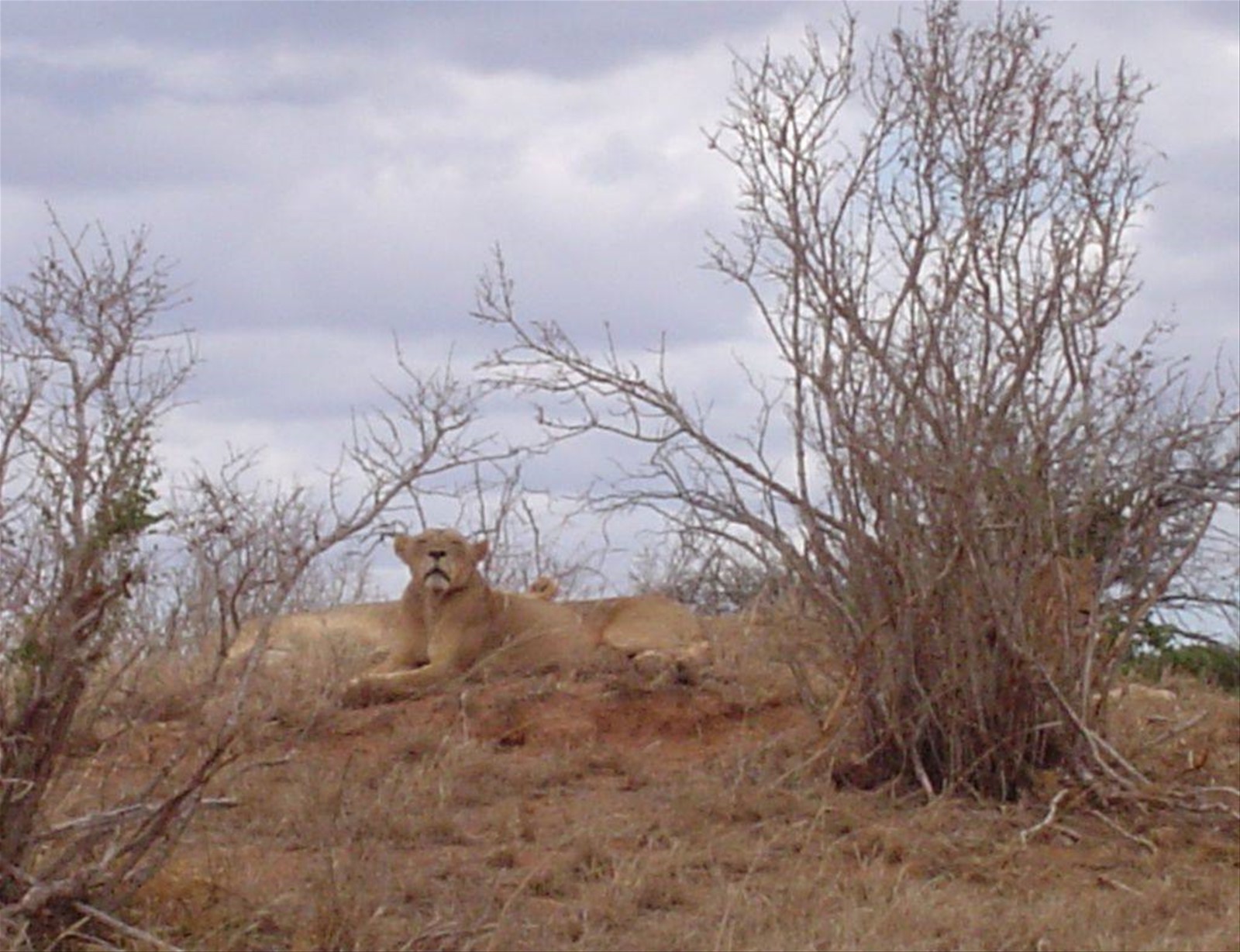 Foto di viaggio in KENYA