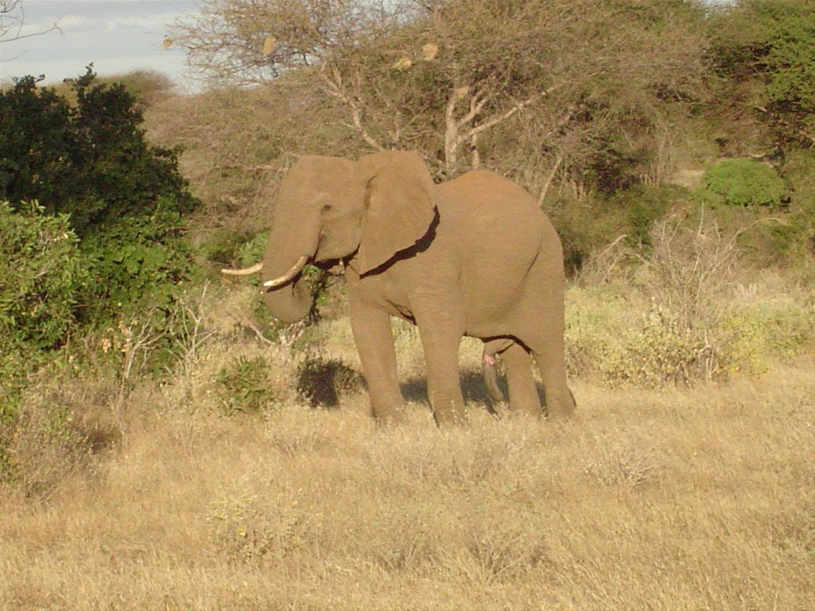 Foto di viaggio in KENYA
