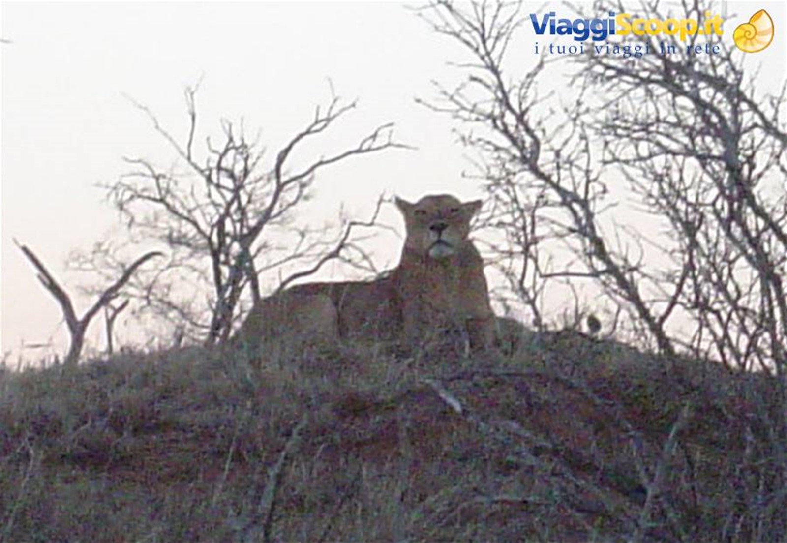 Foto di viaggio in KENYA