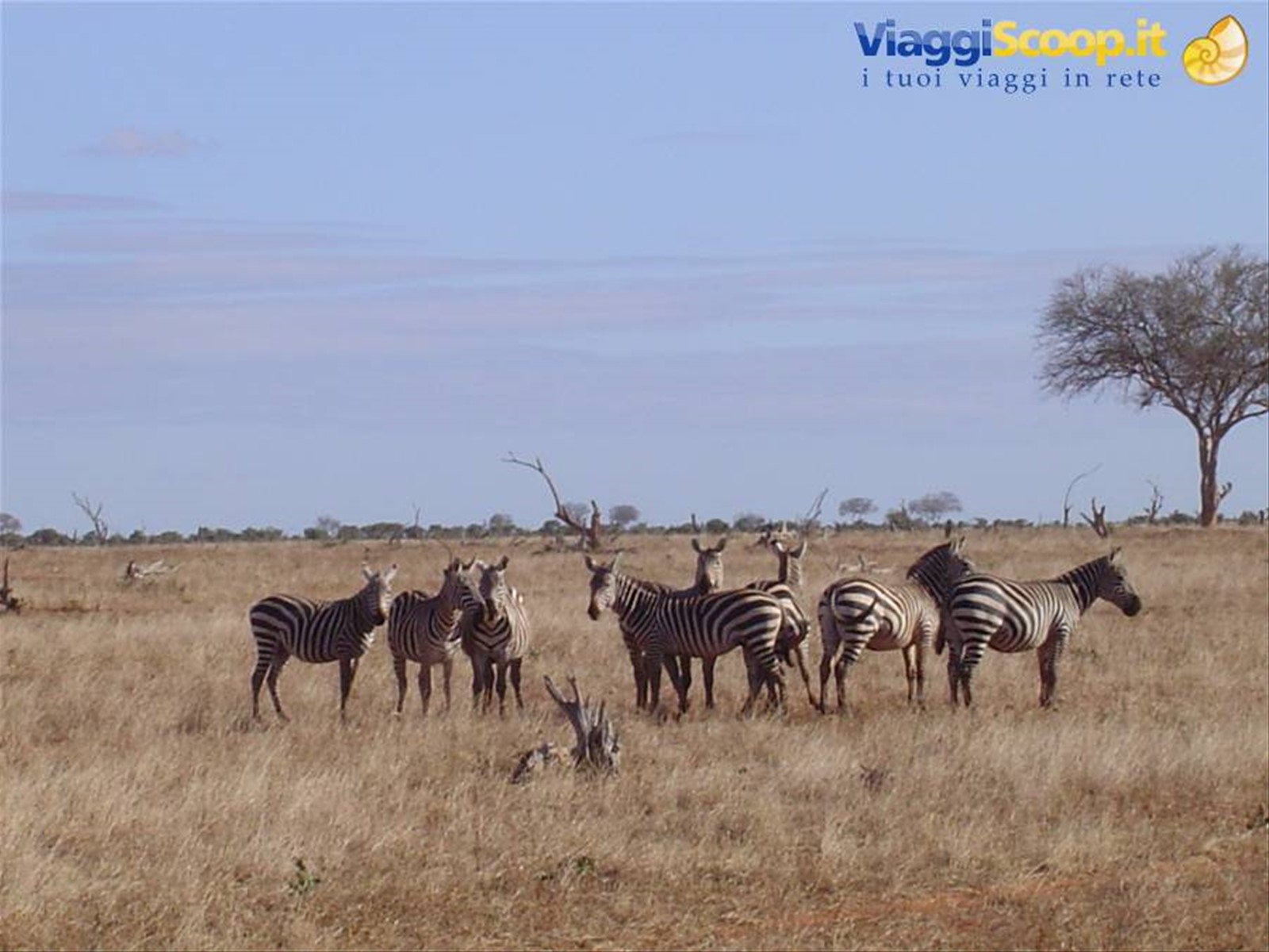 Foto di viaggio in KENYA
