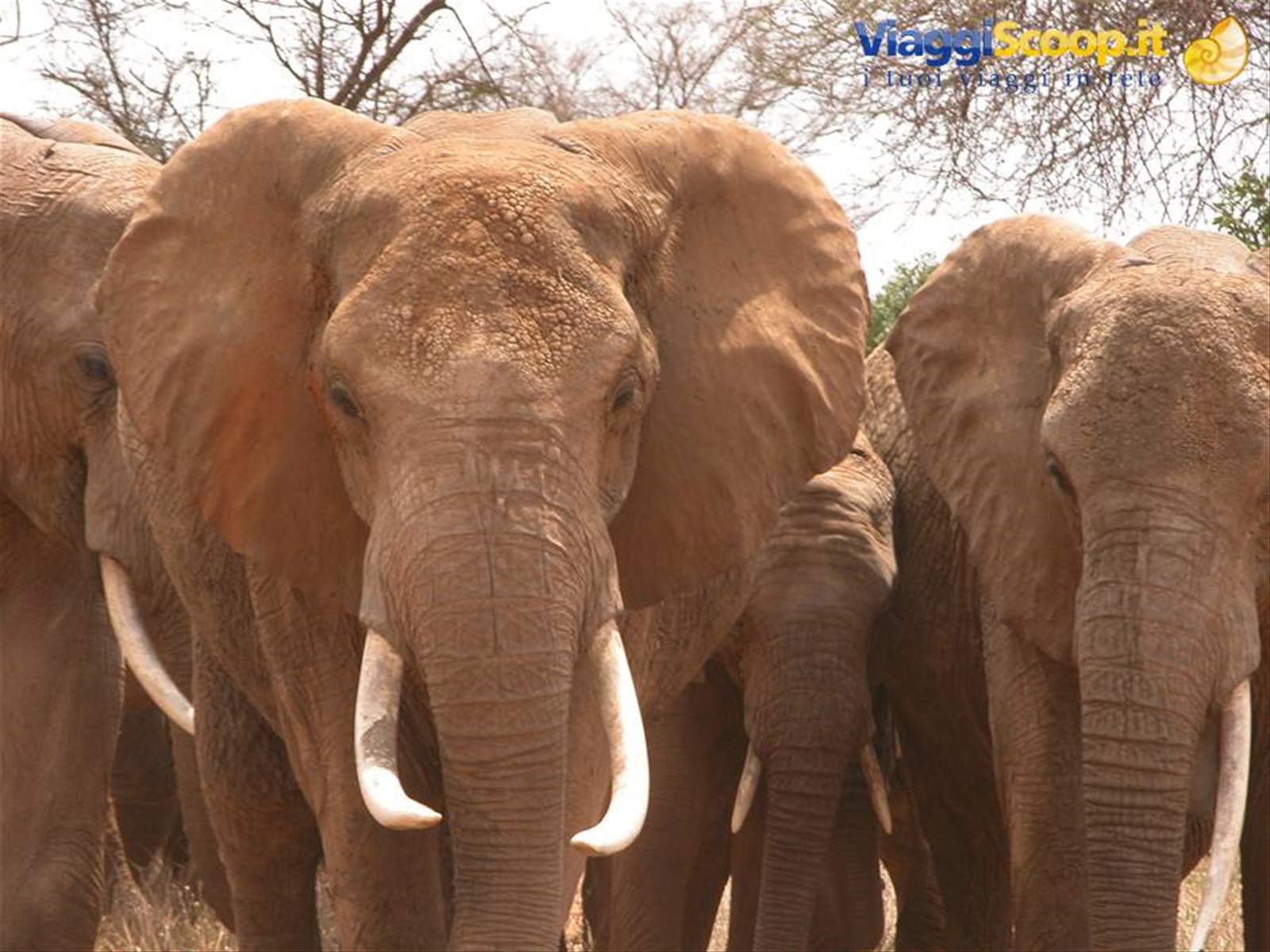 Foto di viaggio in KENYA