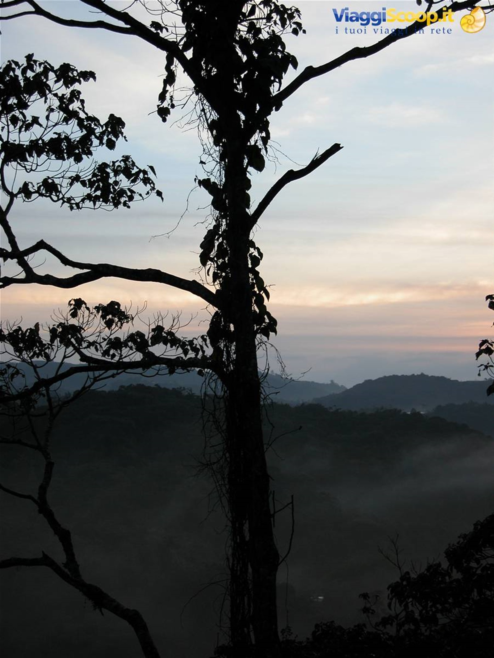 la nebbia a Cameron Highlands
