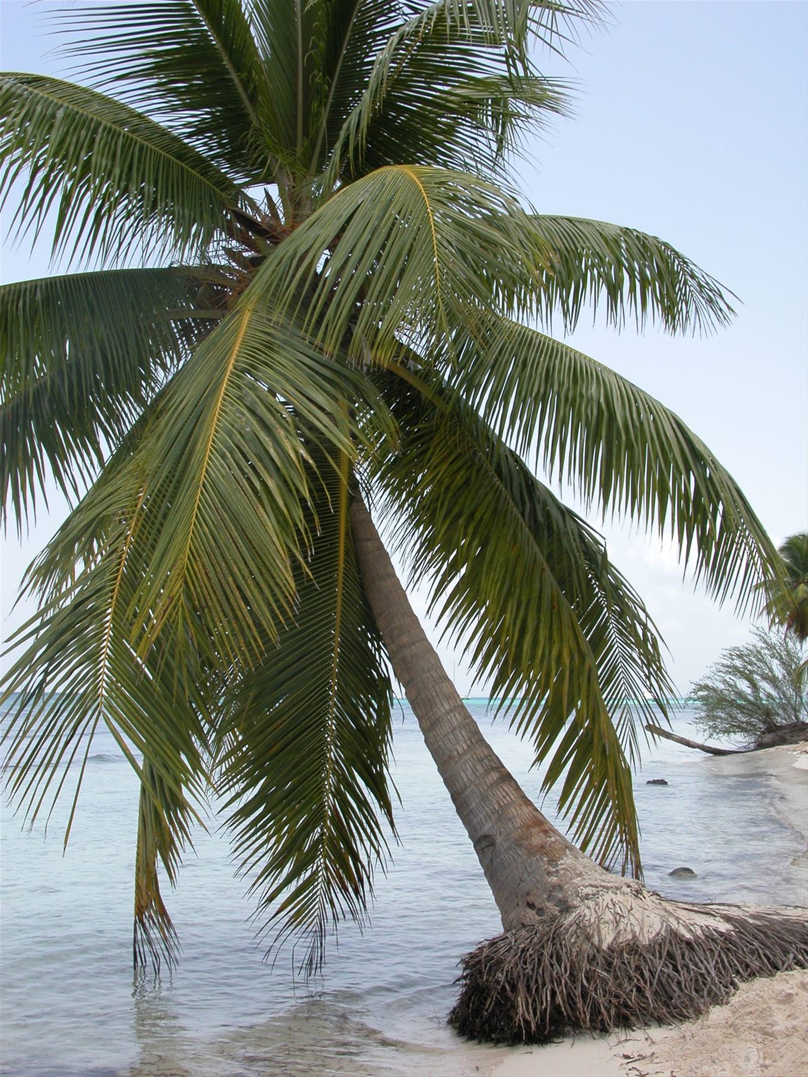 Foto di viaggio in REPUBBLICA DOMINICANA