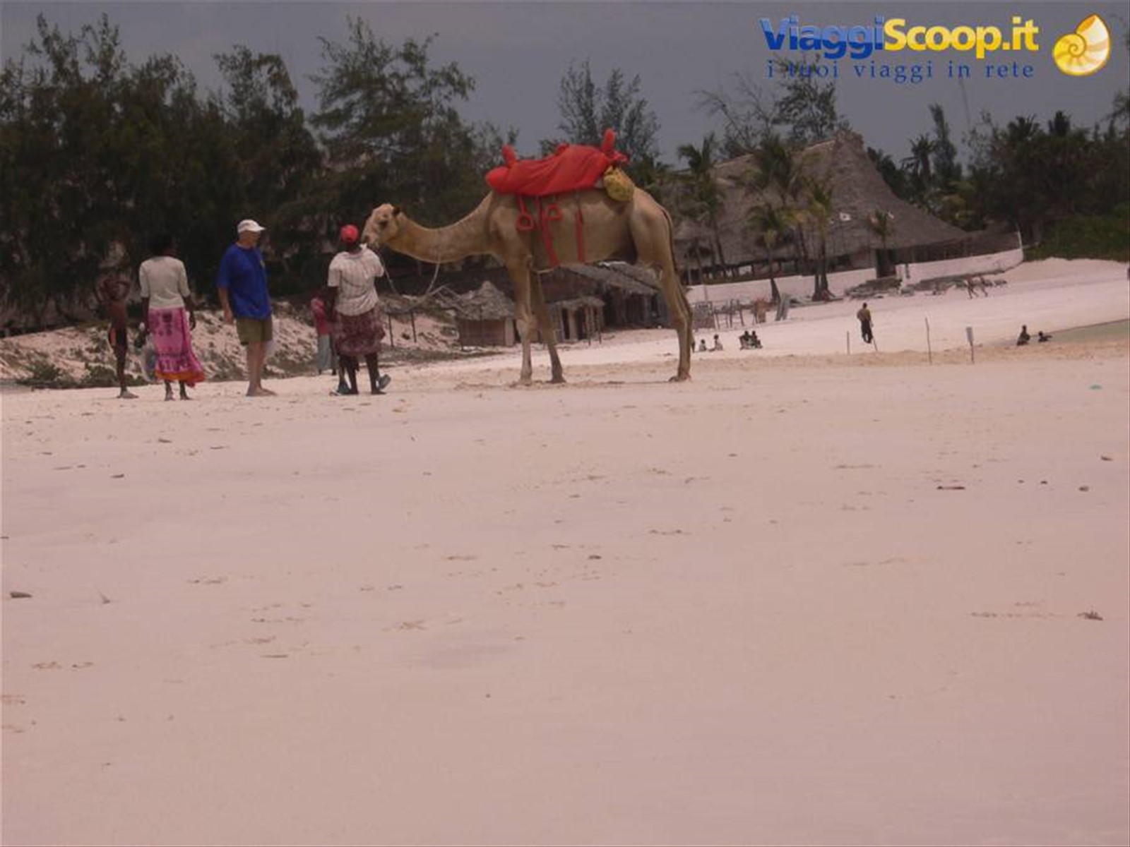 Spiaggia a Watamu