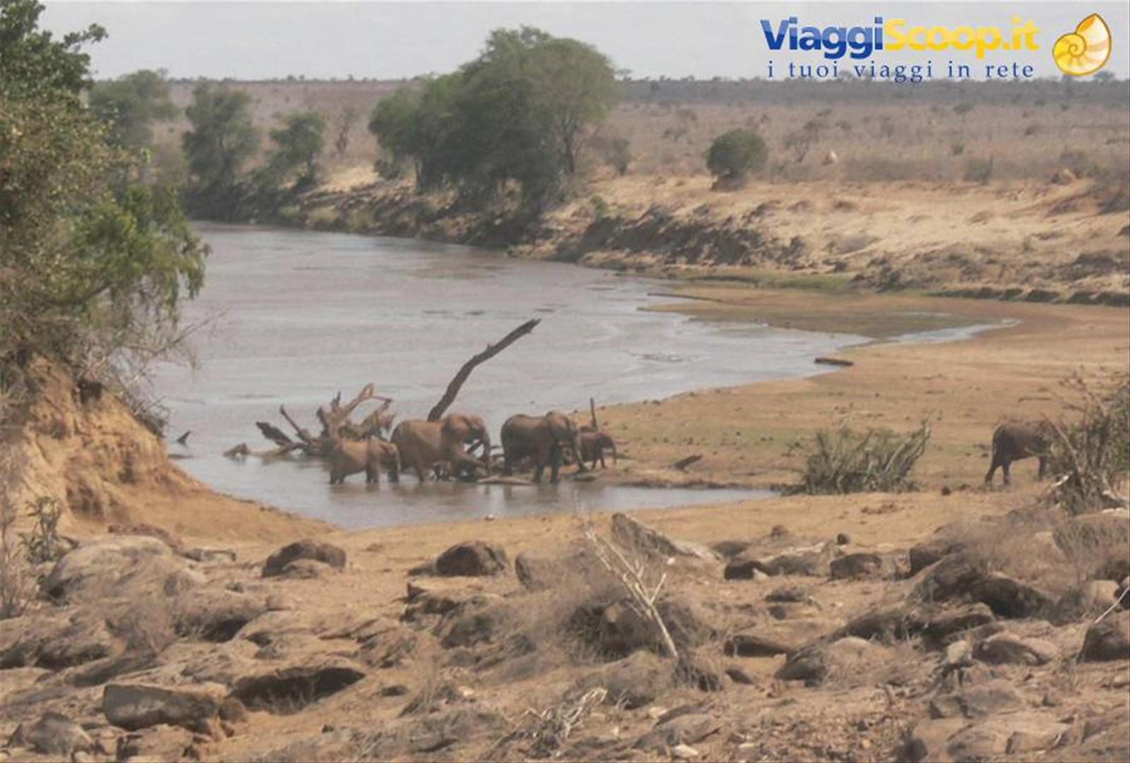 Foto di viaggio in KENYA