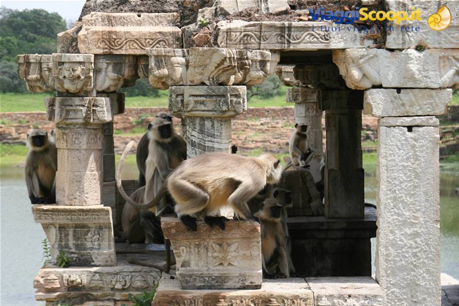 chittaurgarh