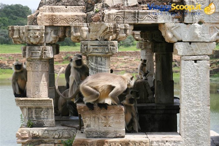 chittaurgarh
