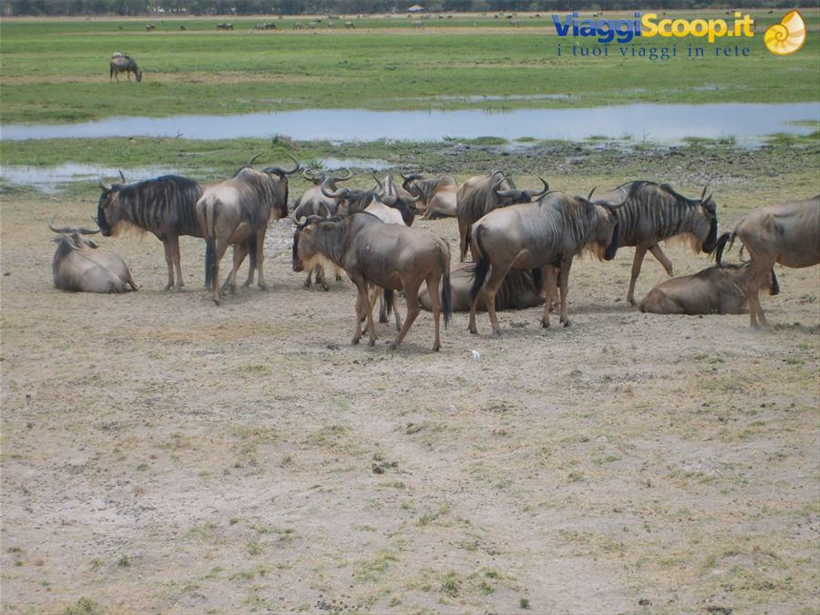 Foto di viaggio in KENYA