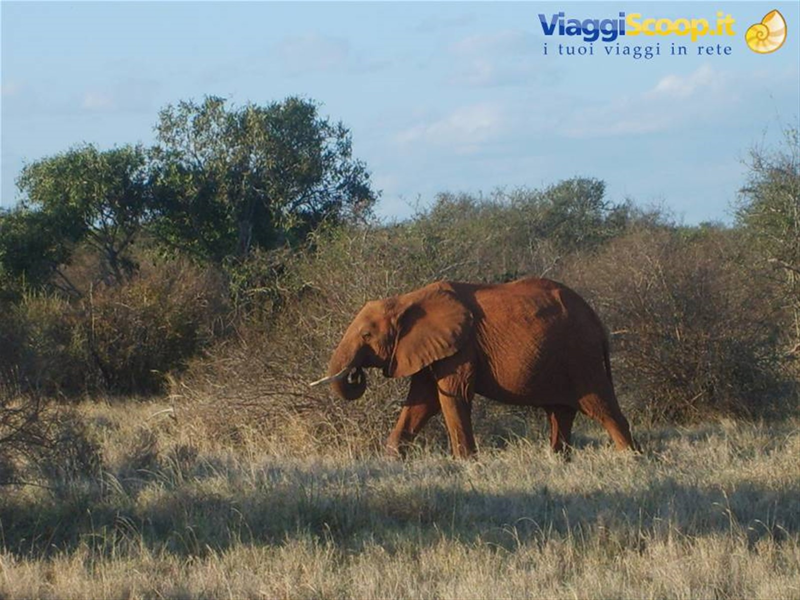 Foto di viaggio in KENYA