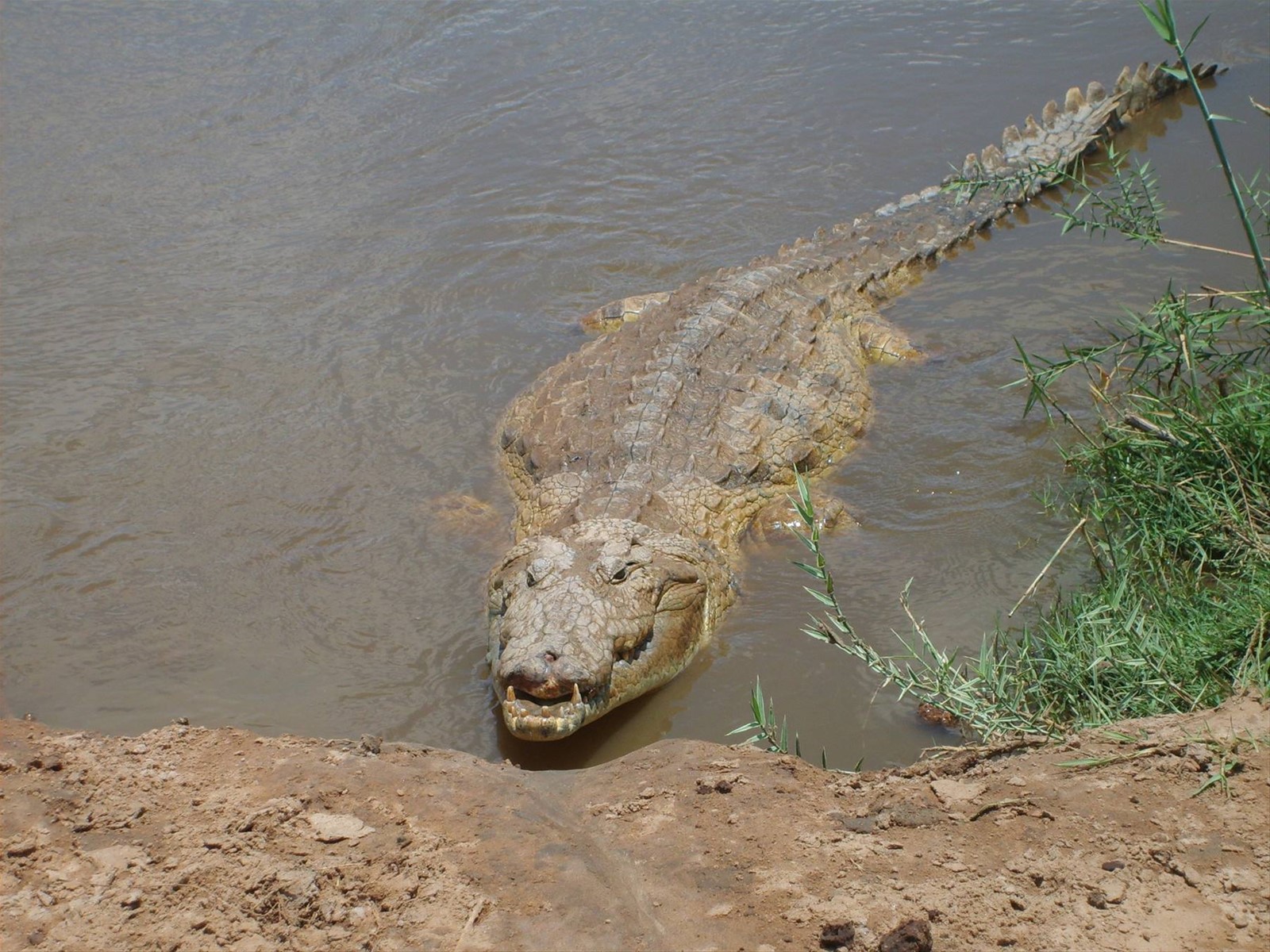 Foto di viaggio in KENYA
