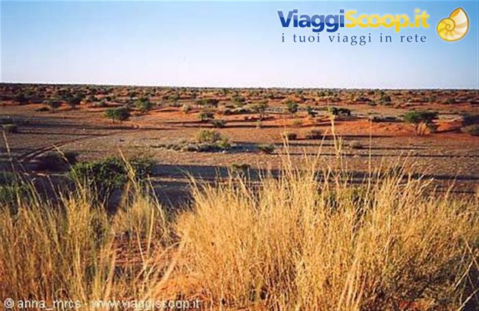 Deserto del Kalahari