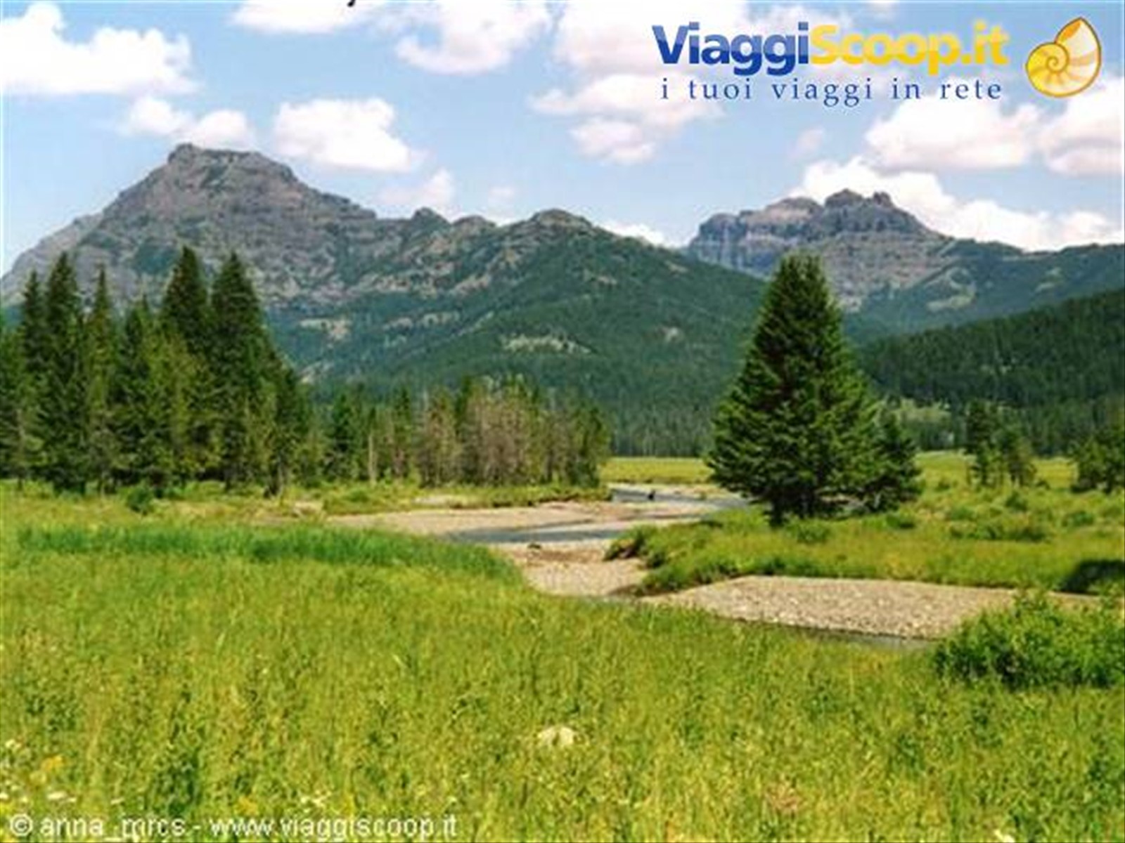 Lamar Valley (Yellowstone -WY)