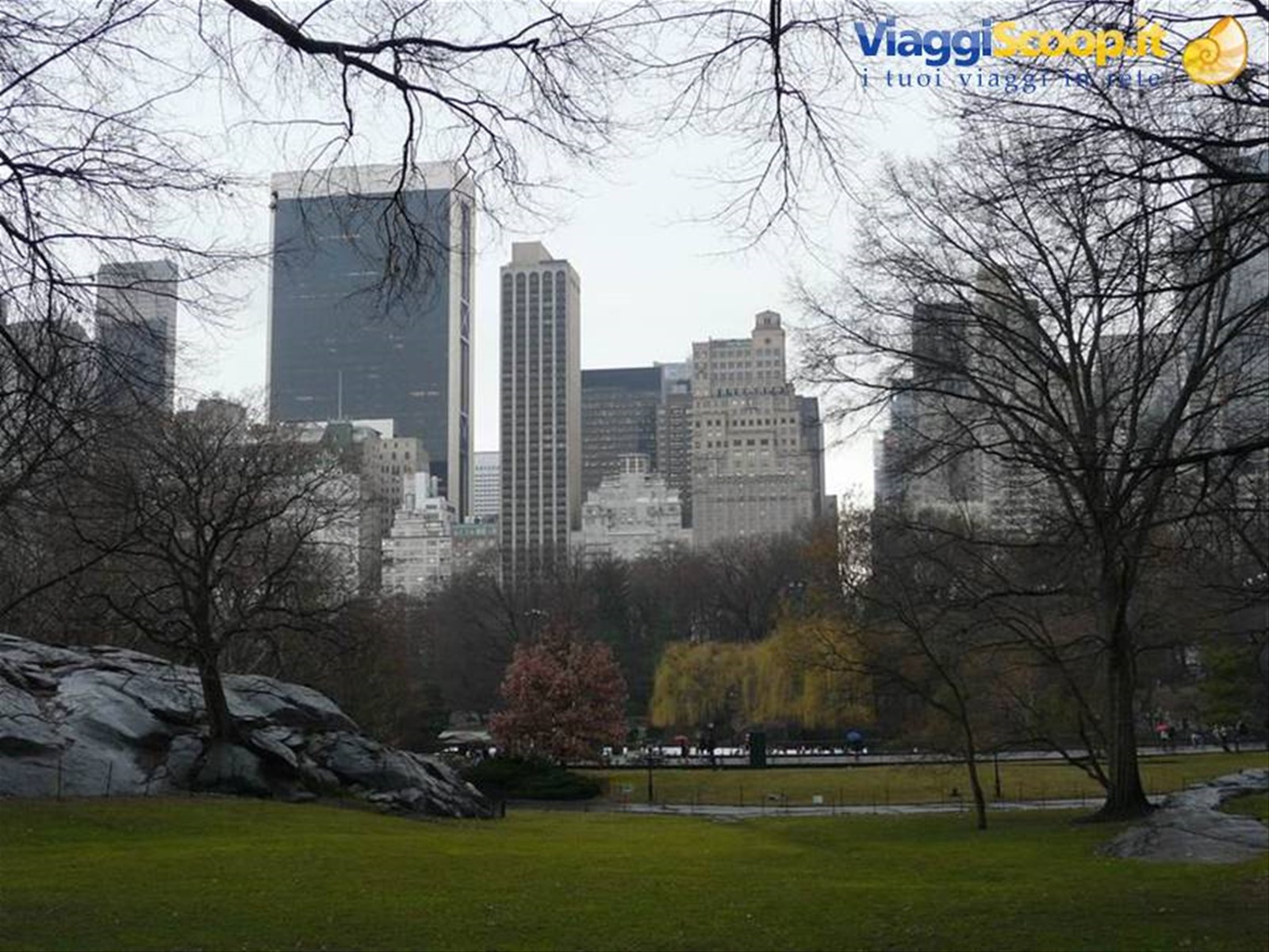 Central Park