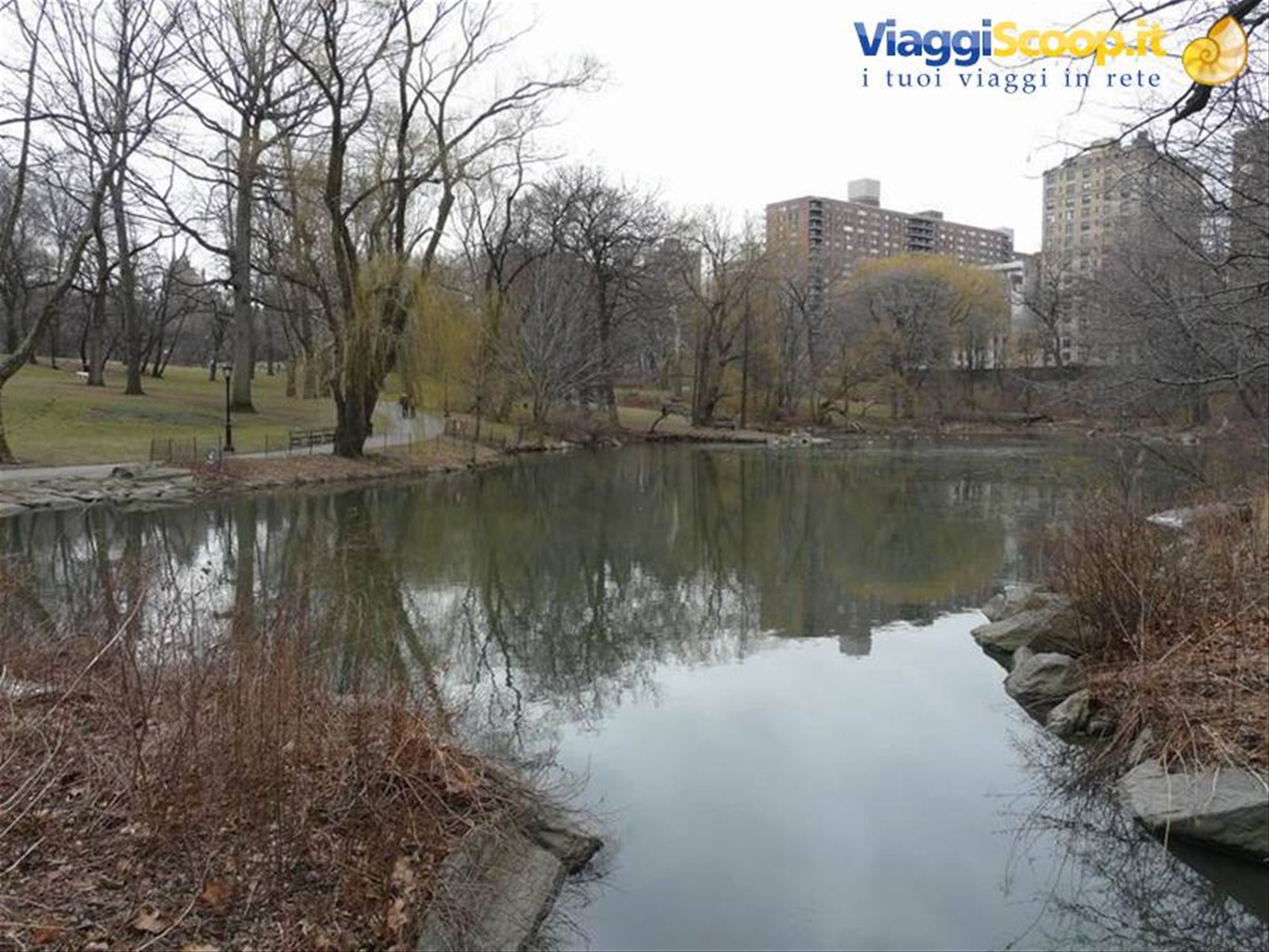 Central park