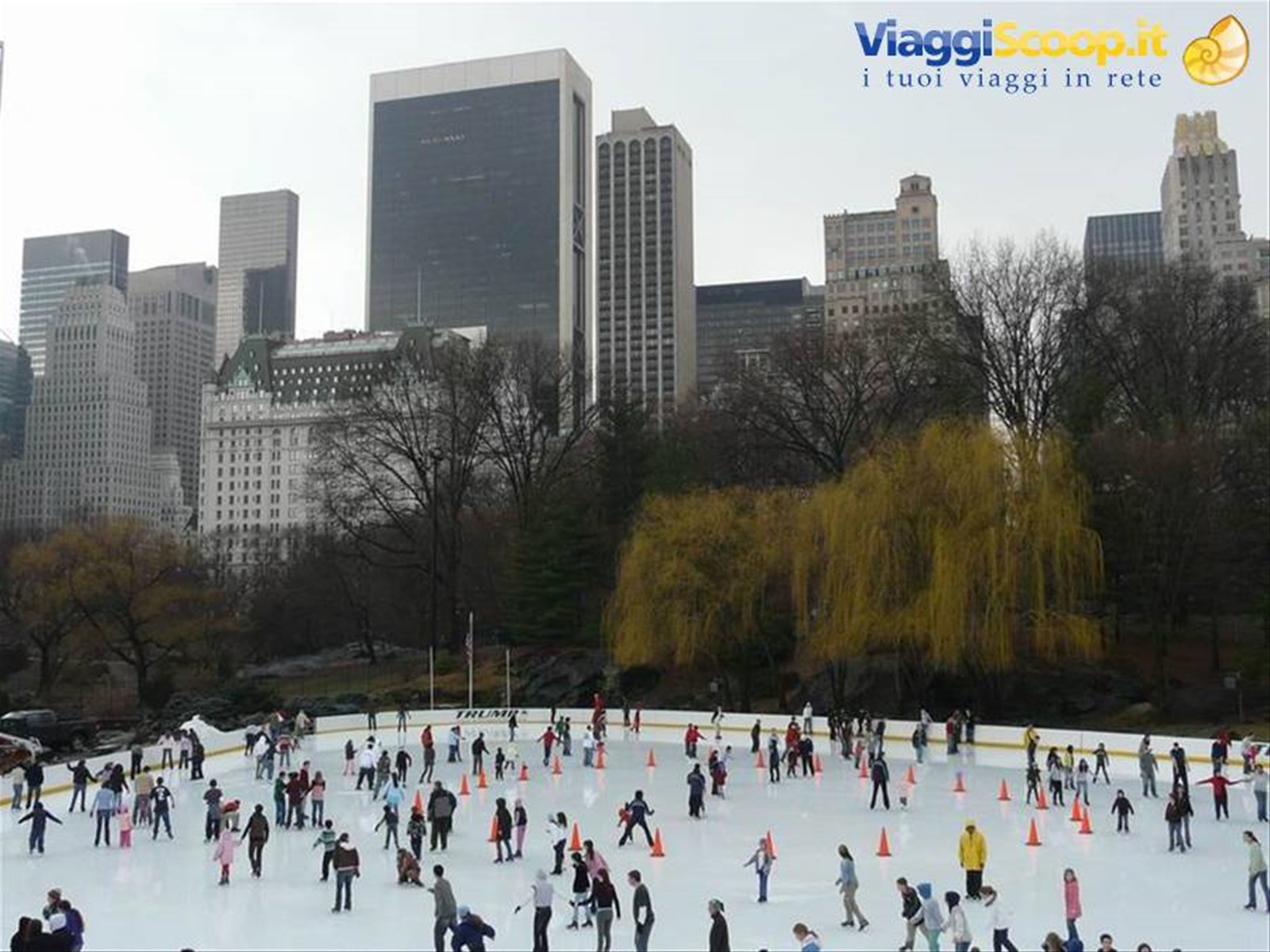 Wollman Rink-Central Park