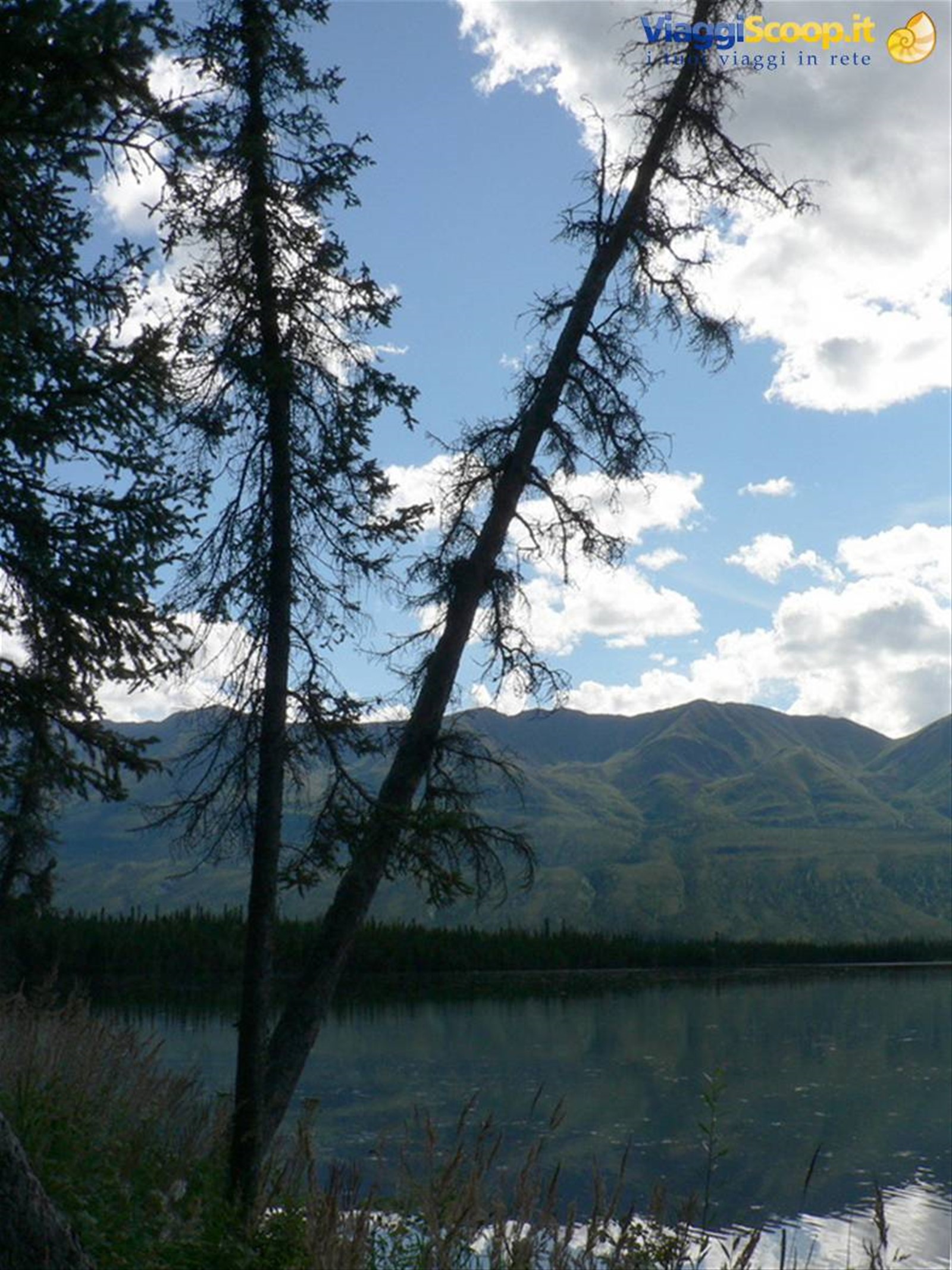 Lake Creek - Yukon
