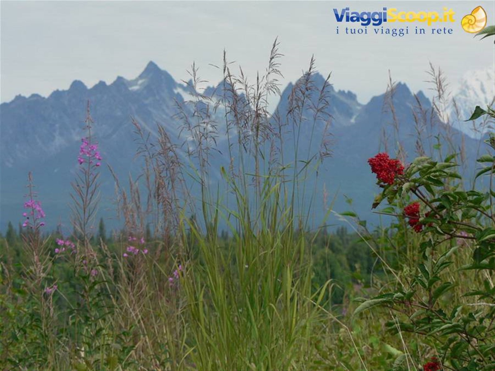 Alaska Range lungo la Parks Highway