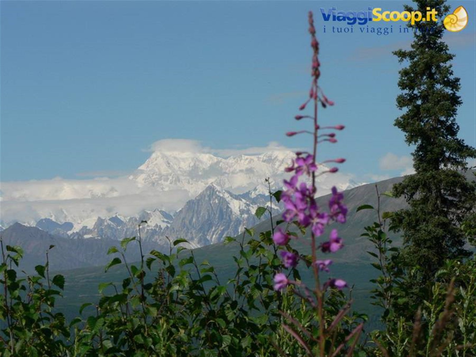 Mt McKinley - Denali National Park