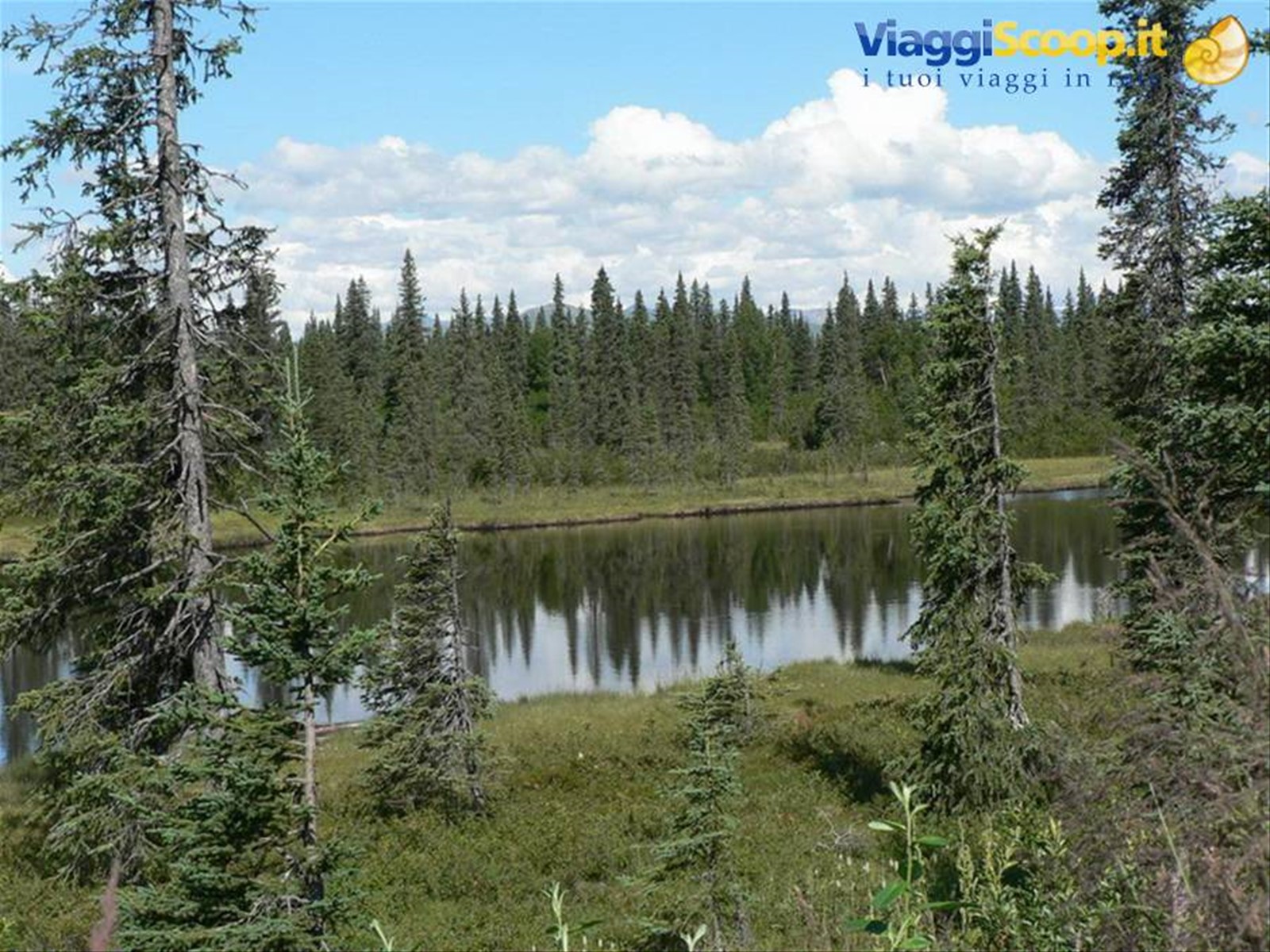 Lungo la Parks Highway verso il Denali National Park