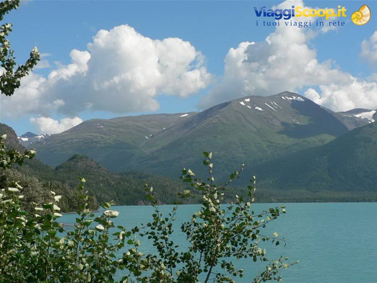 Kenai Peninsula - lungo la Sterling Highway
