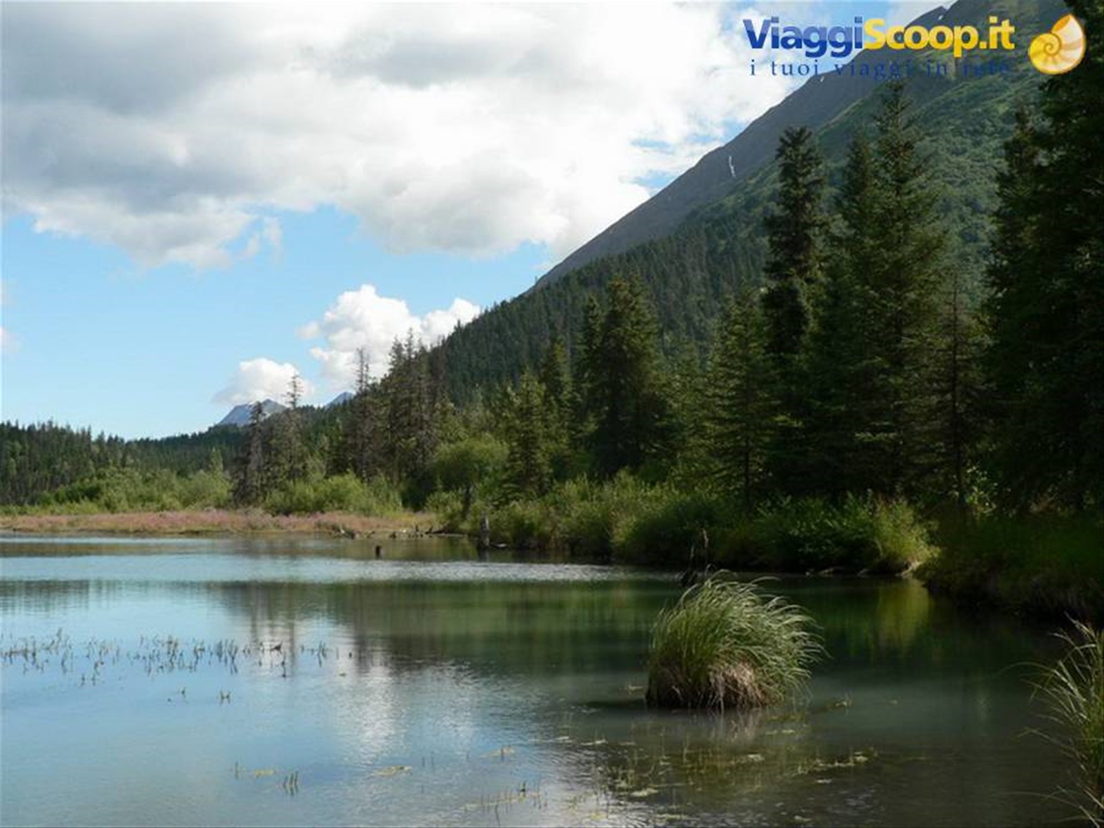 Kenai Peninsula - lungo la Sterling Highway