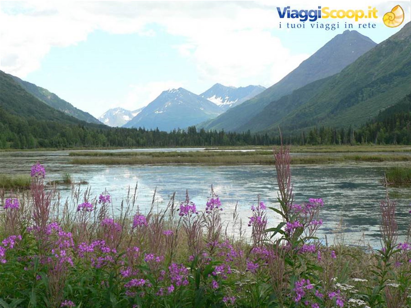 Kenai Peninsula - lungo la Sterling Highway