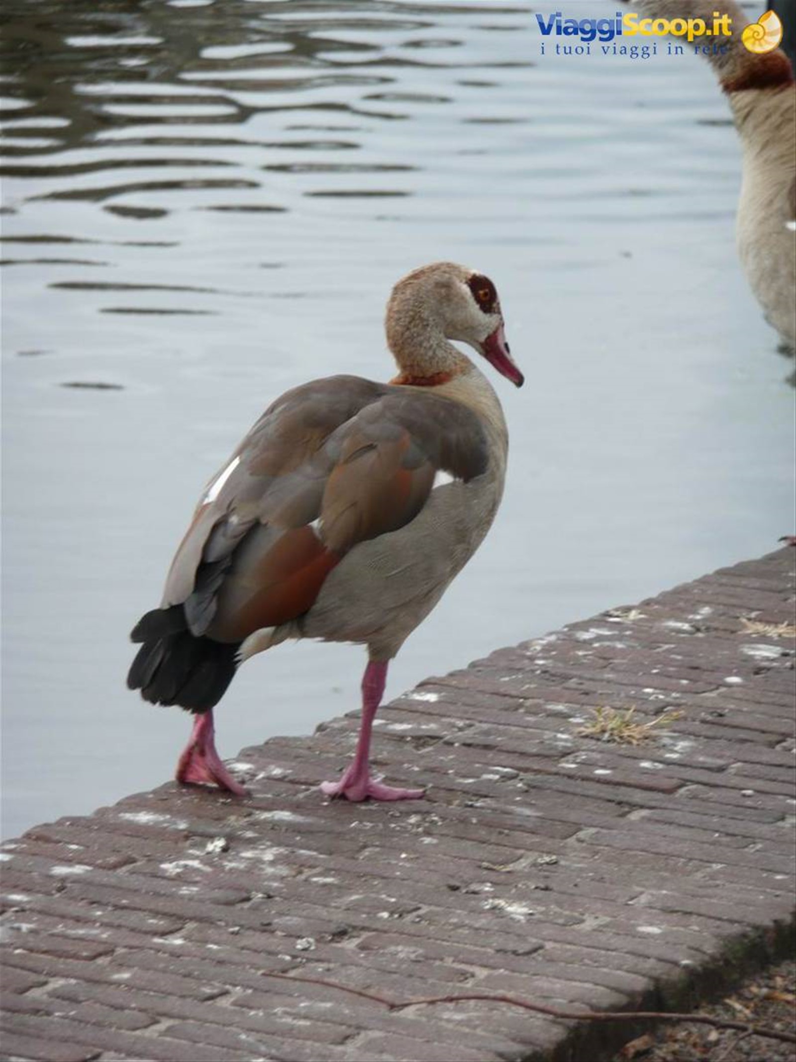 Haarlem