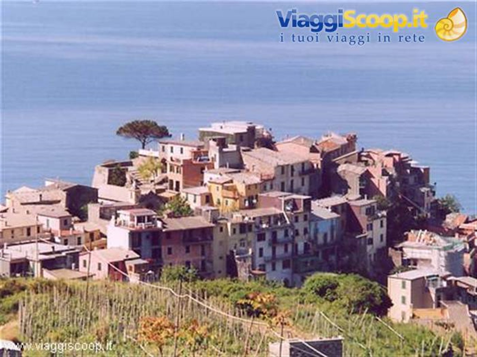 L'abitato di Corniglia salendo verso Sella della Croce