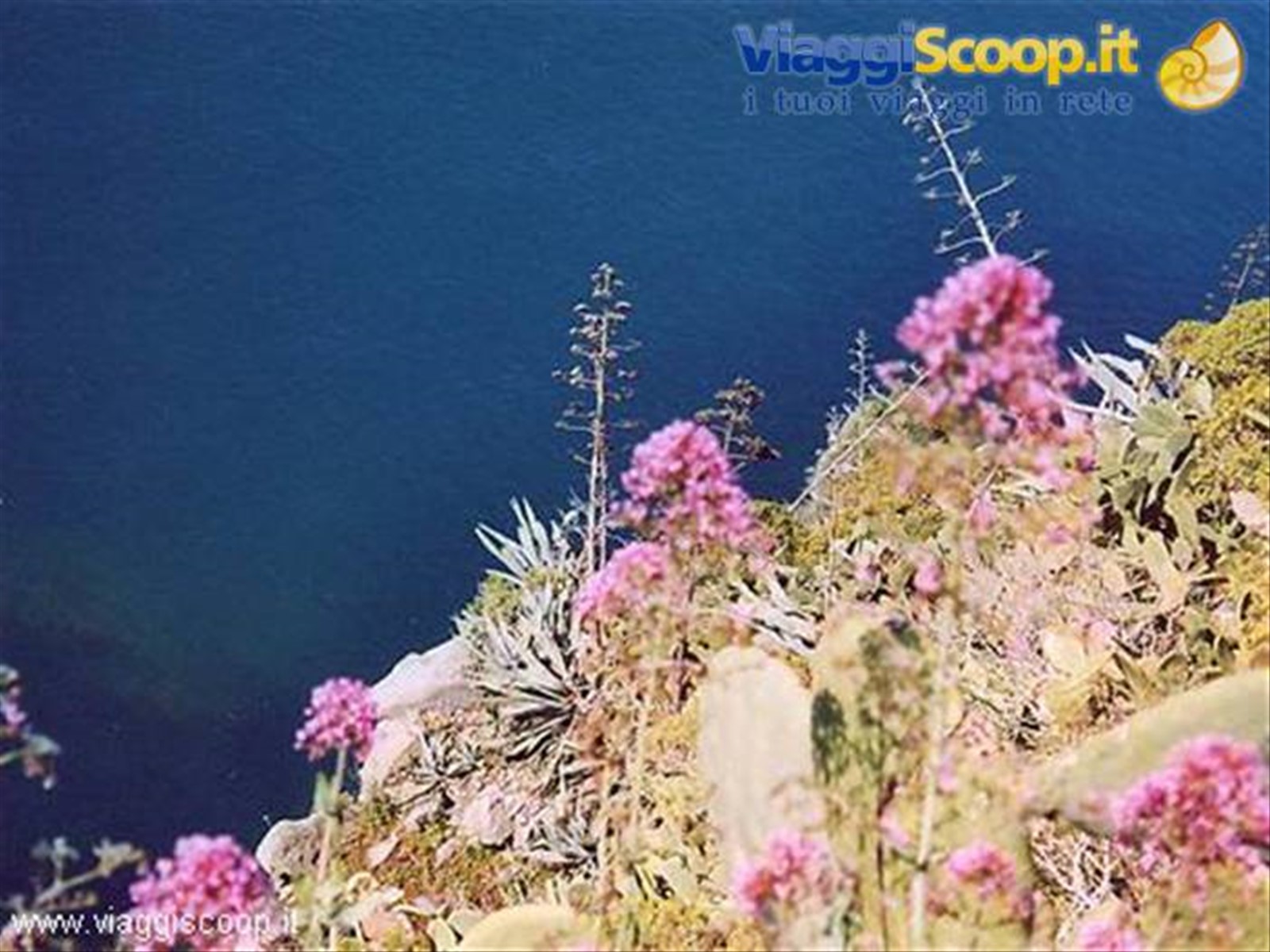 il mare di Corniglia