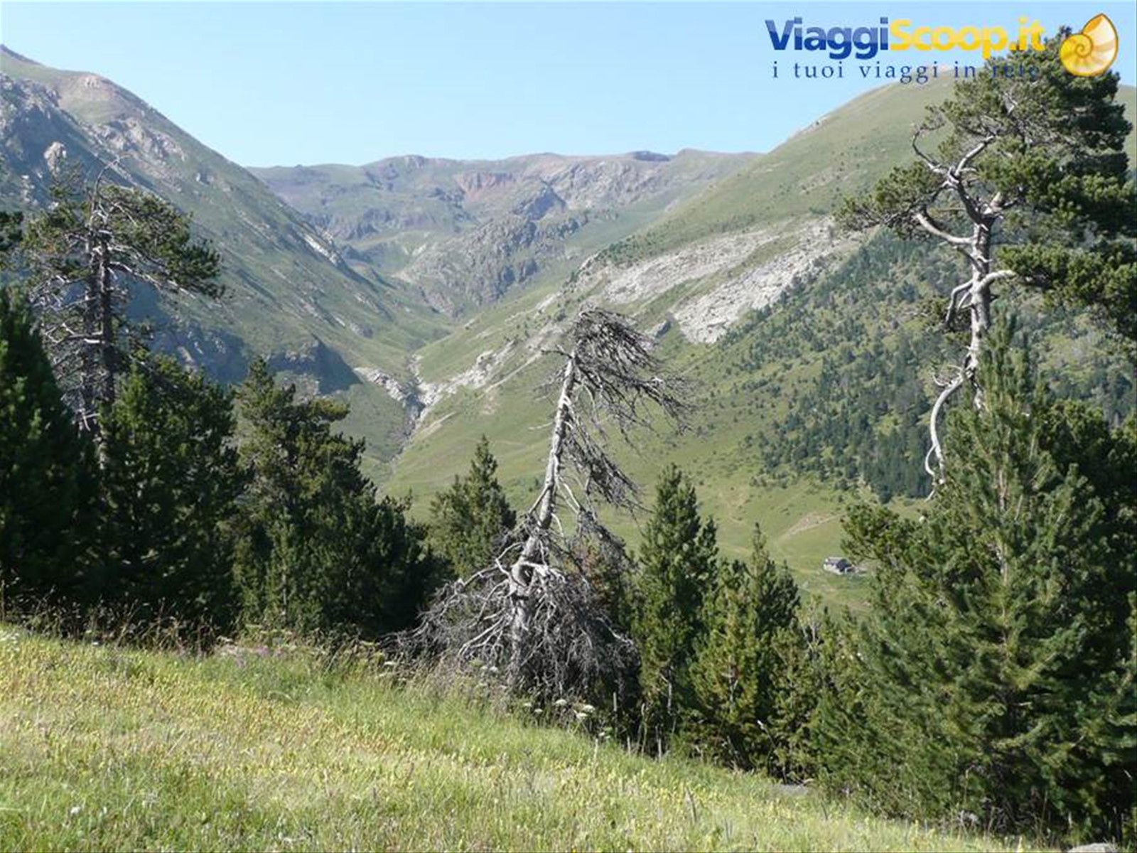 Col Ordino