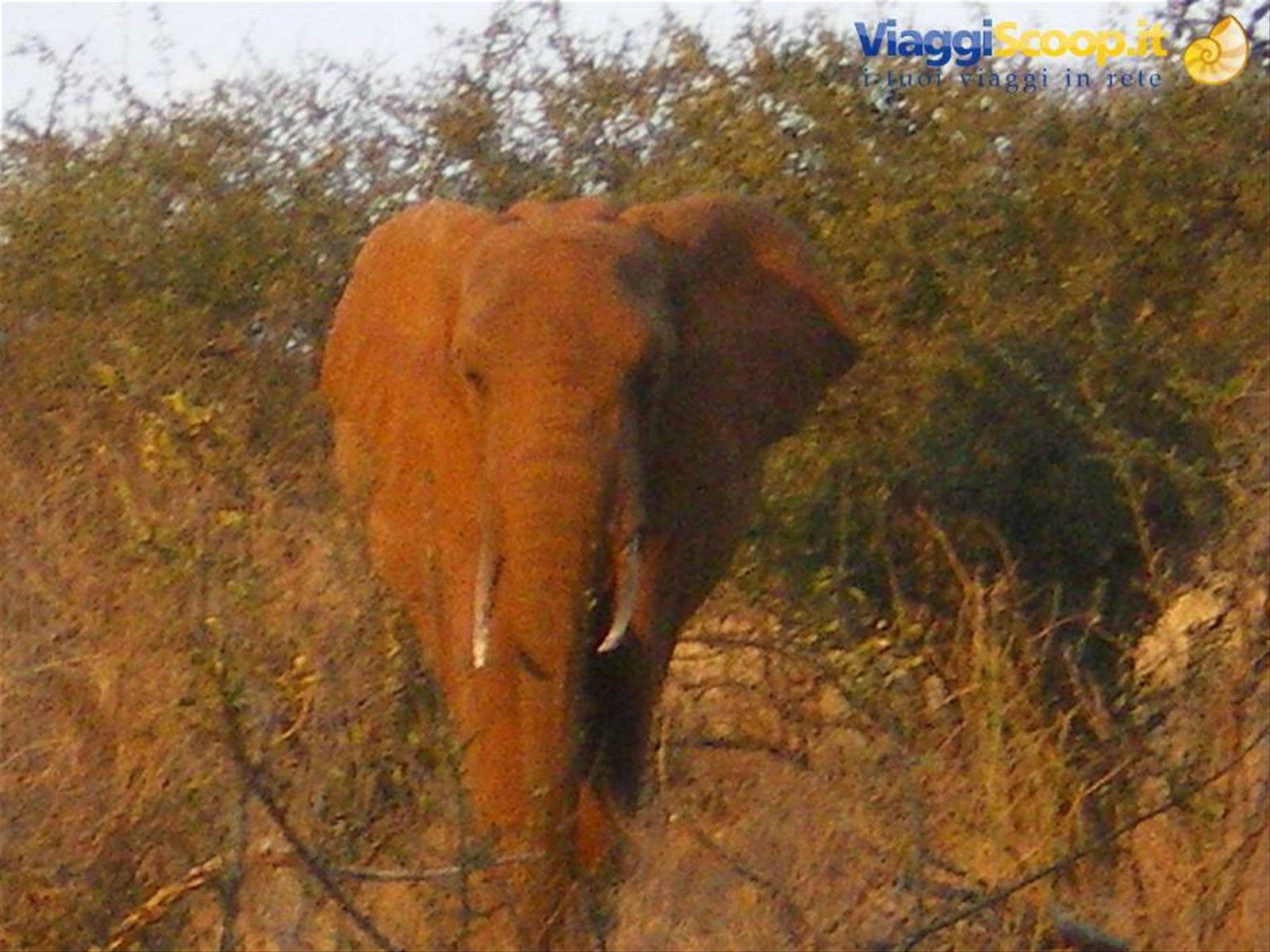 Foto di viaggio in KENYA
