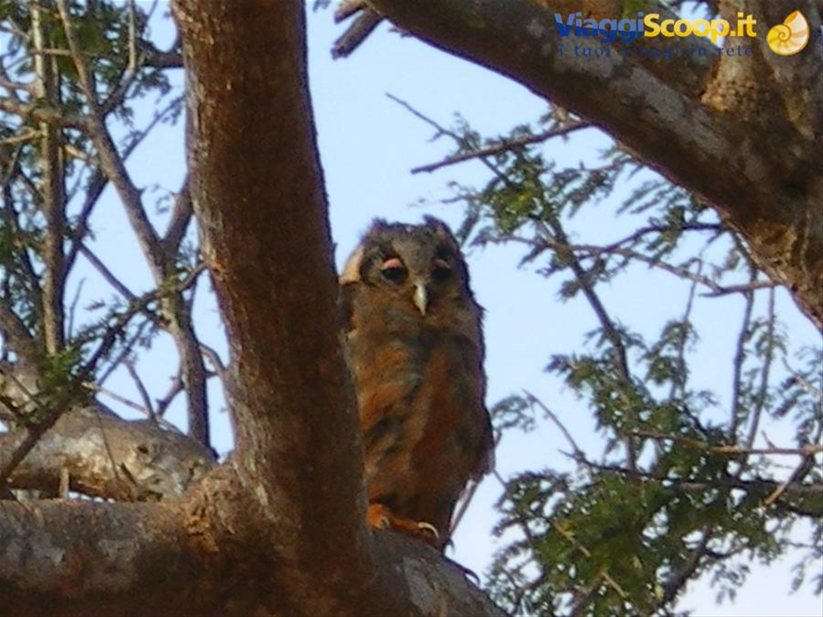 Foto di viaggio in KENYA